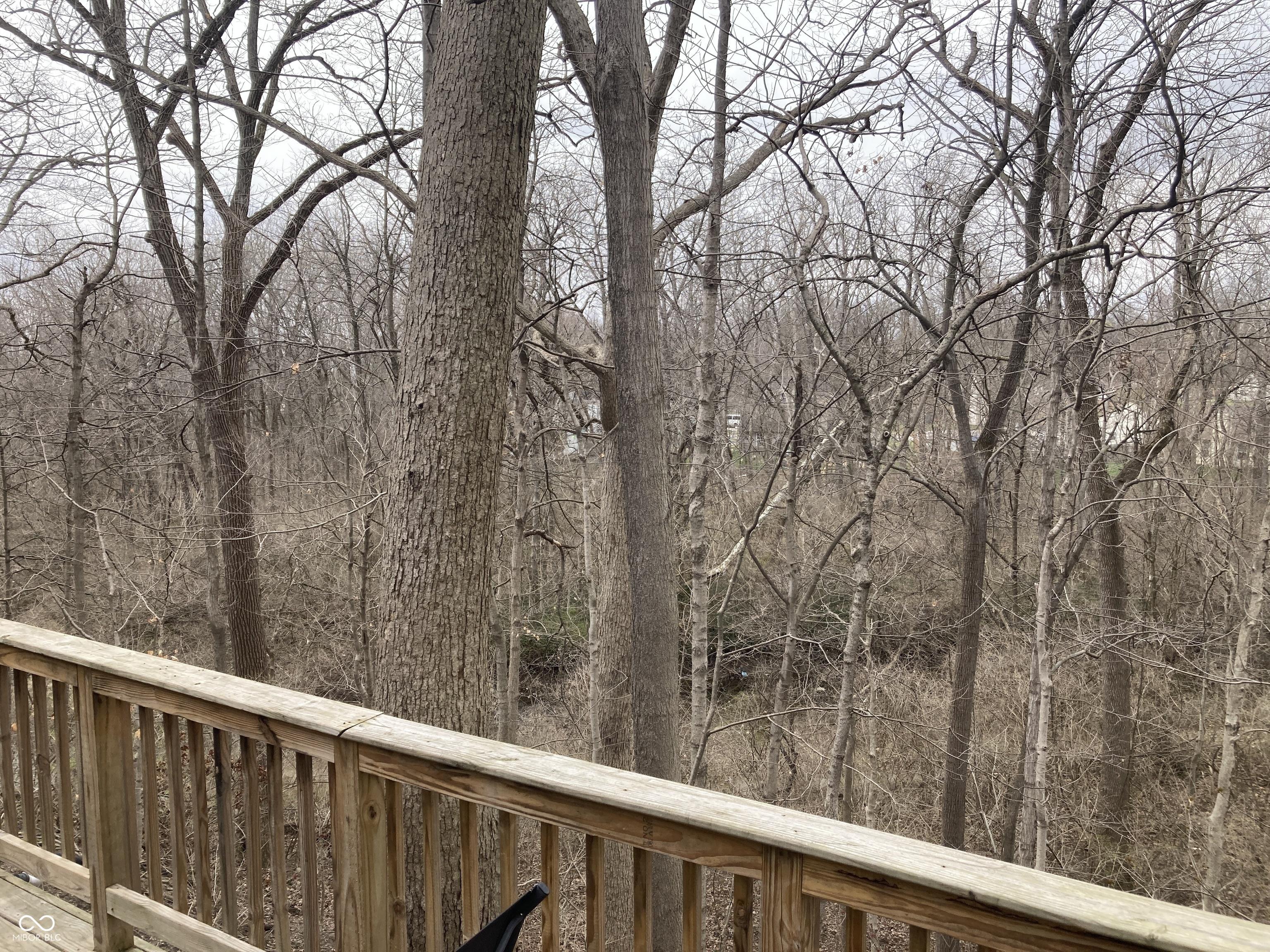 Photo #29