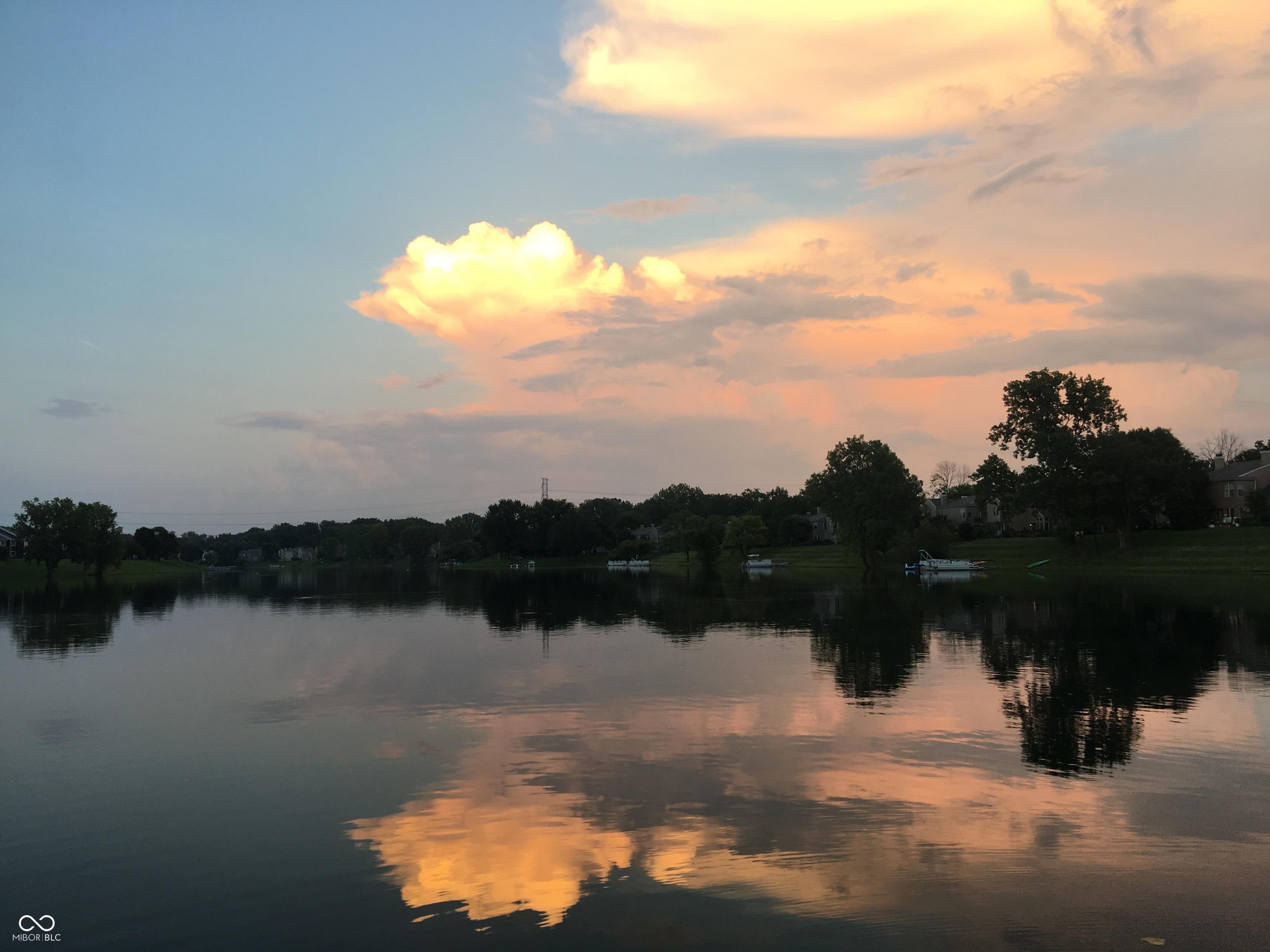 Photo #53