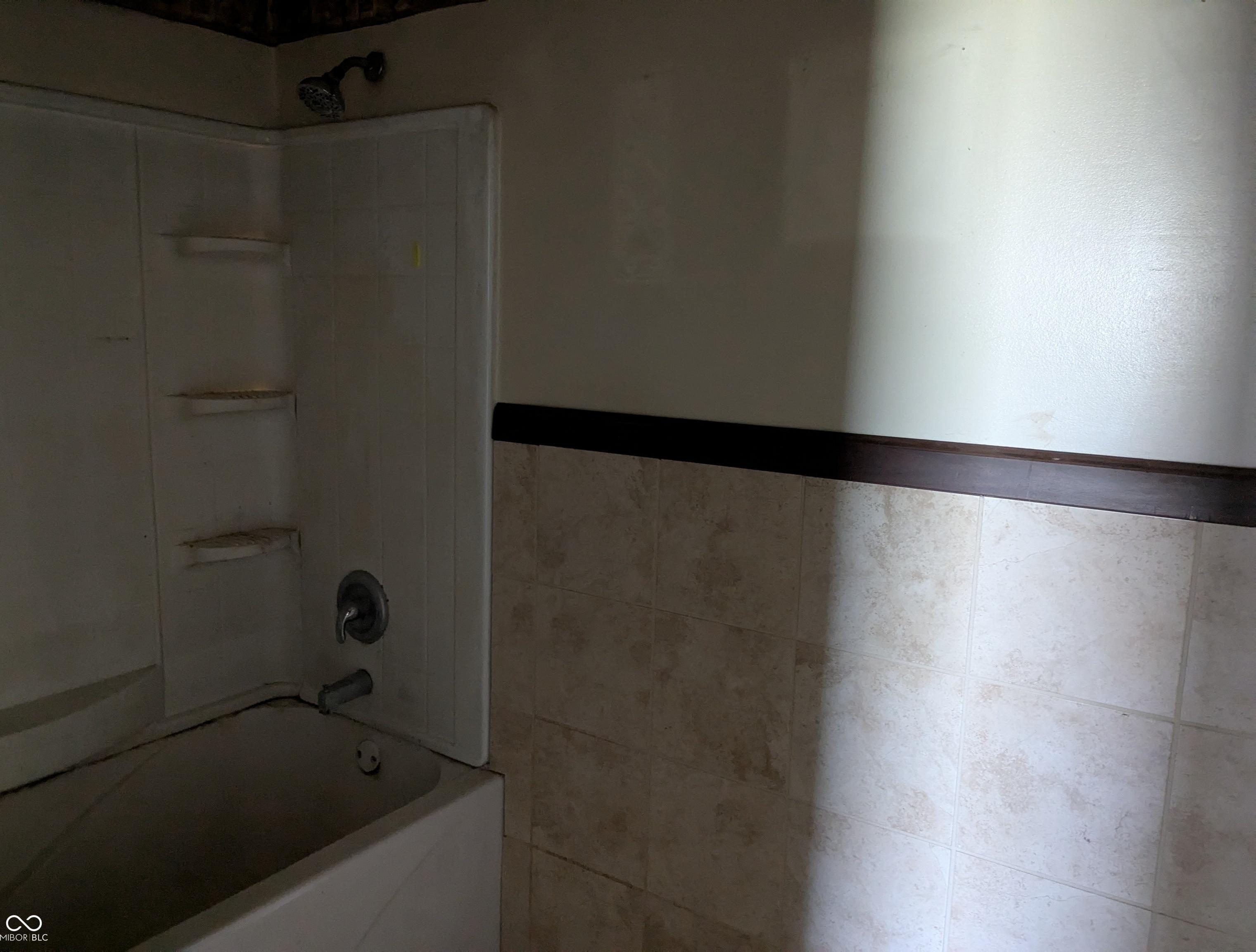 Photo #10