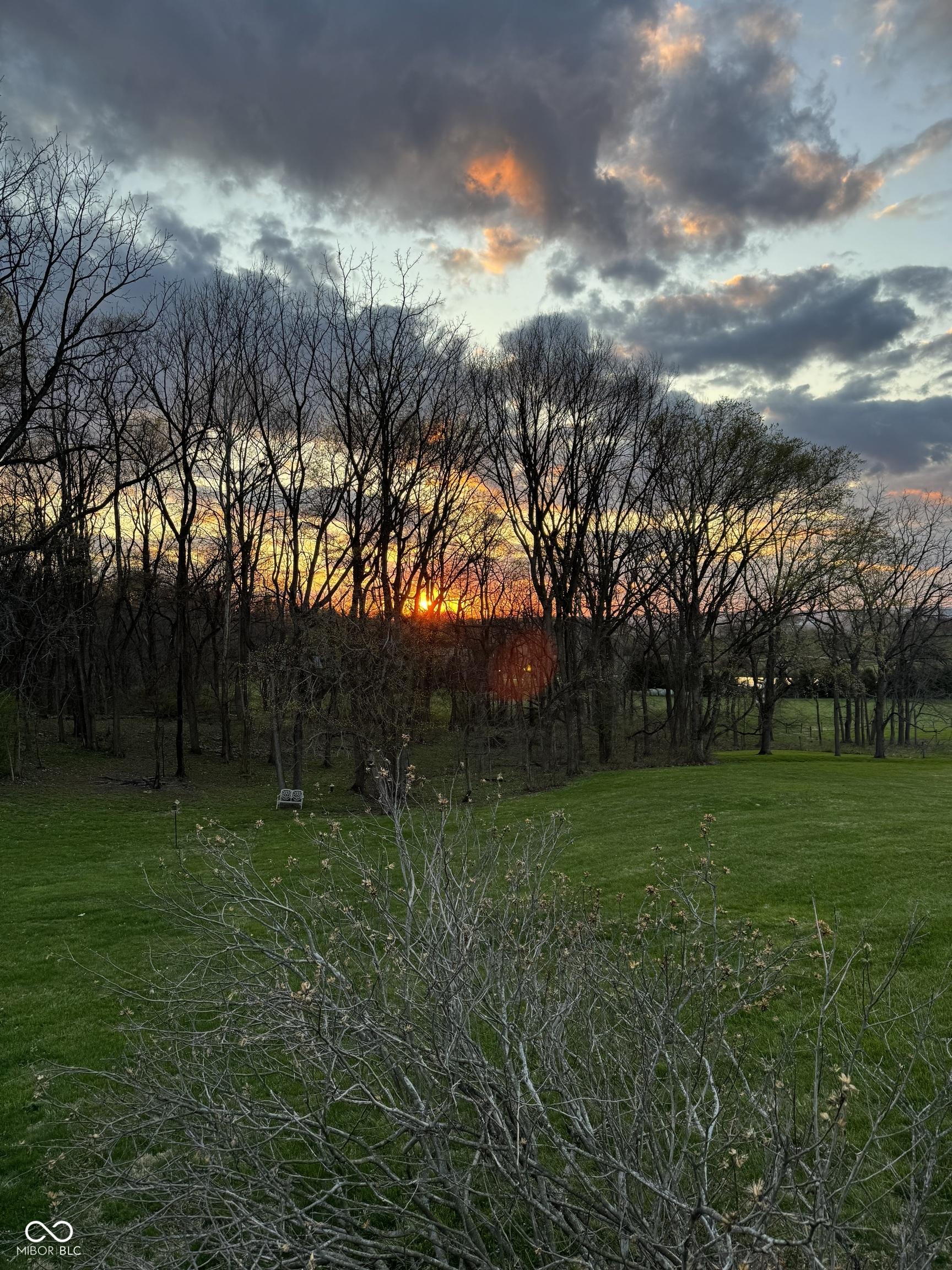 Photo #57