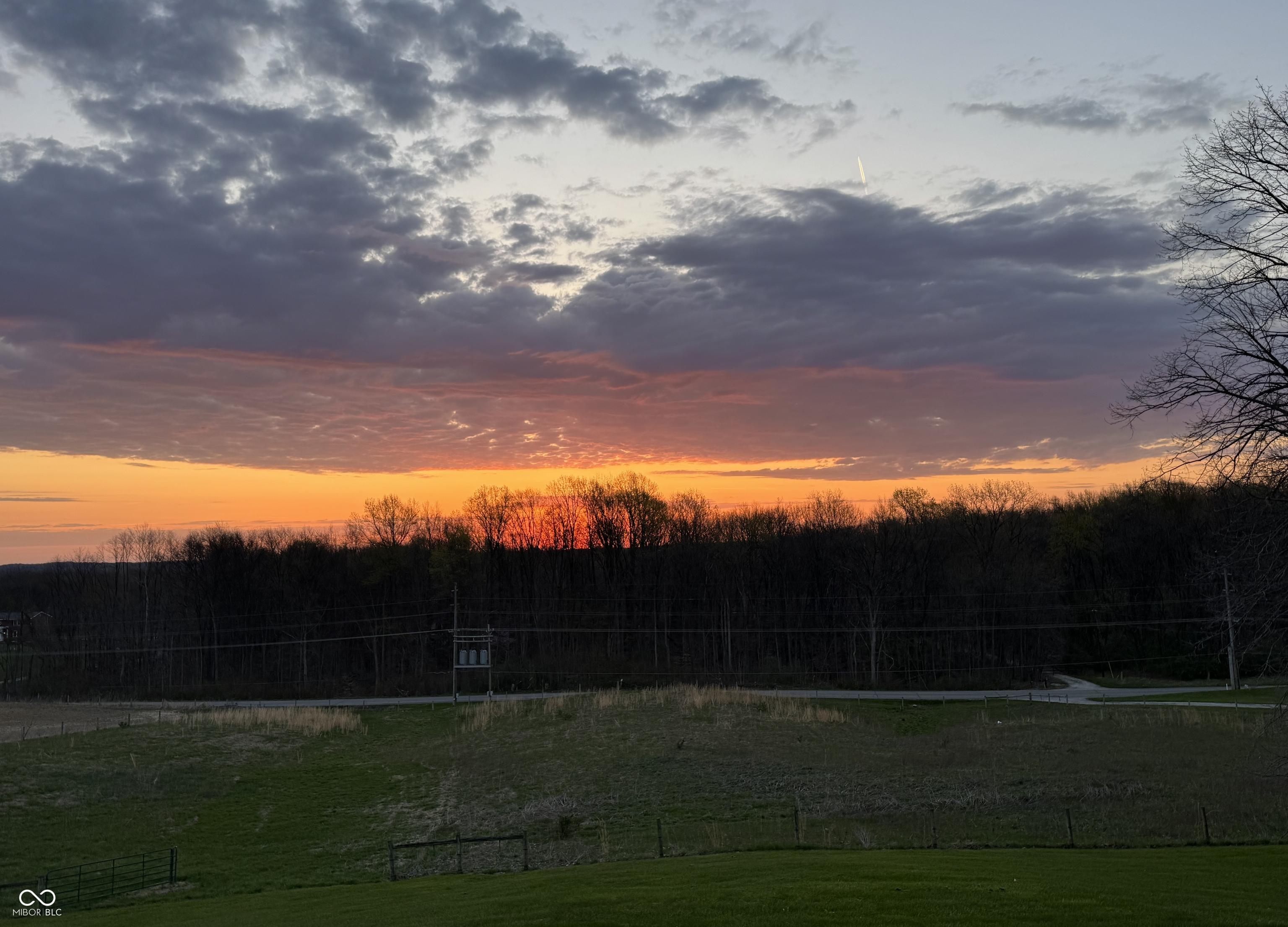 Photo #55