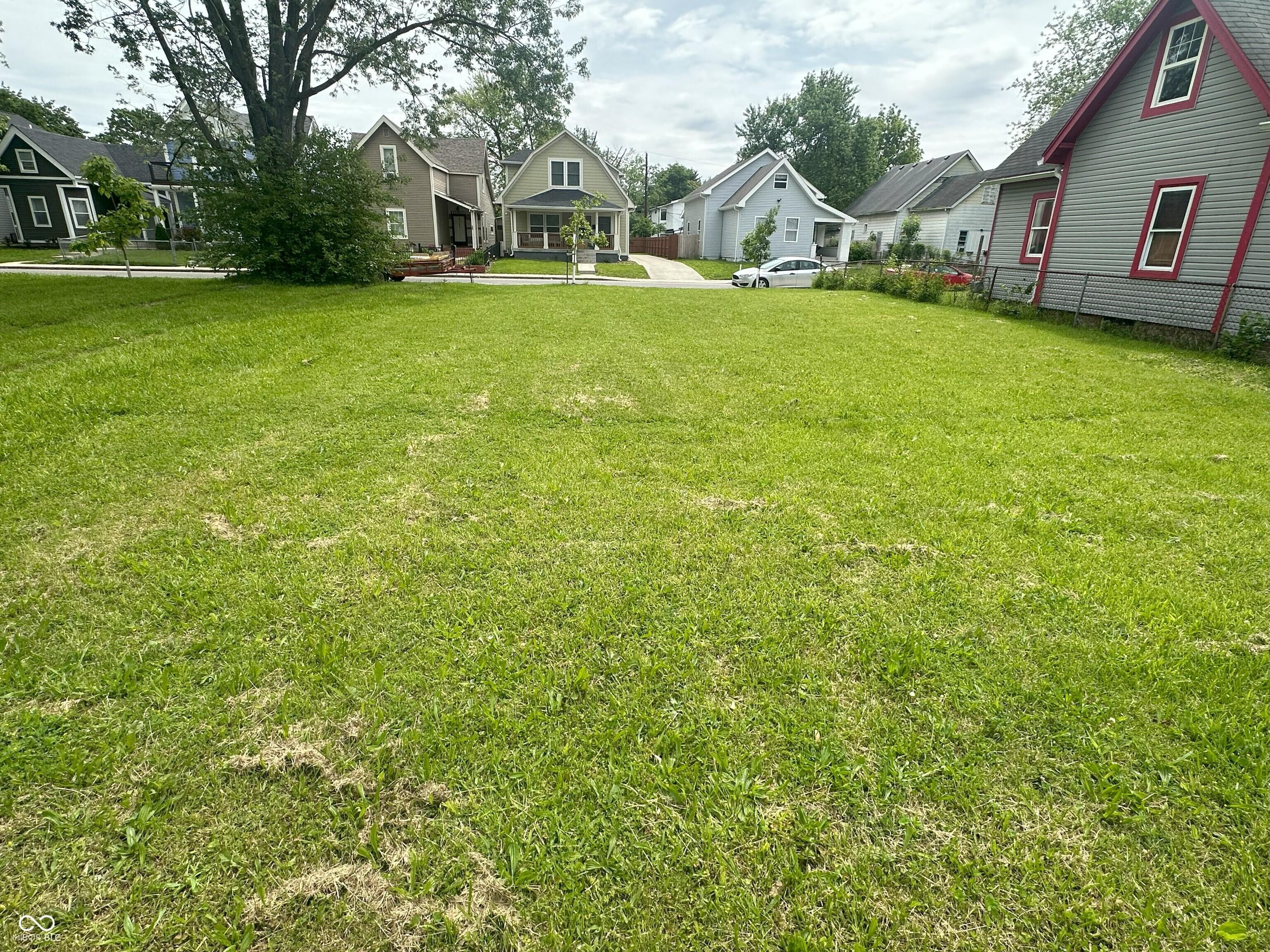 Photo #5