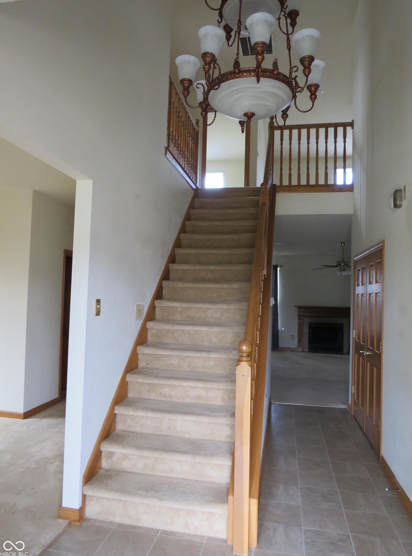 Photo #5