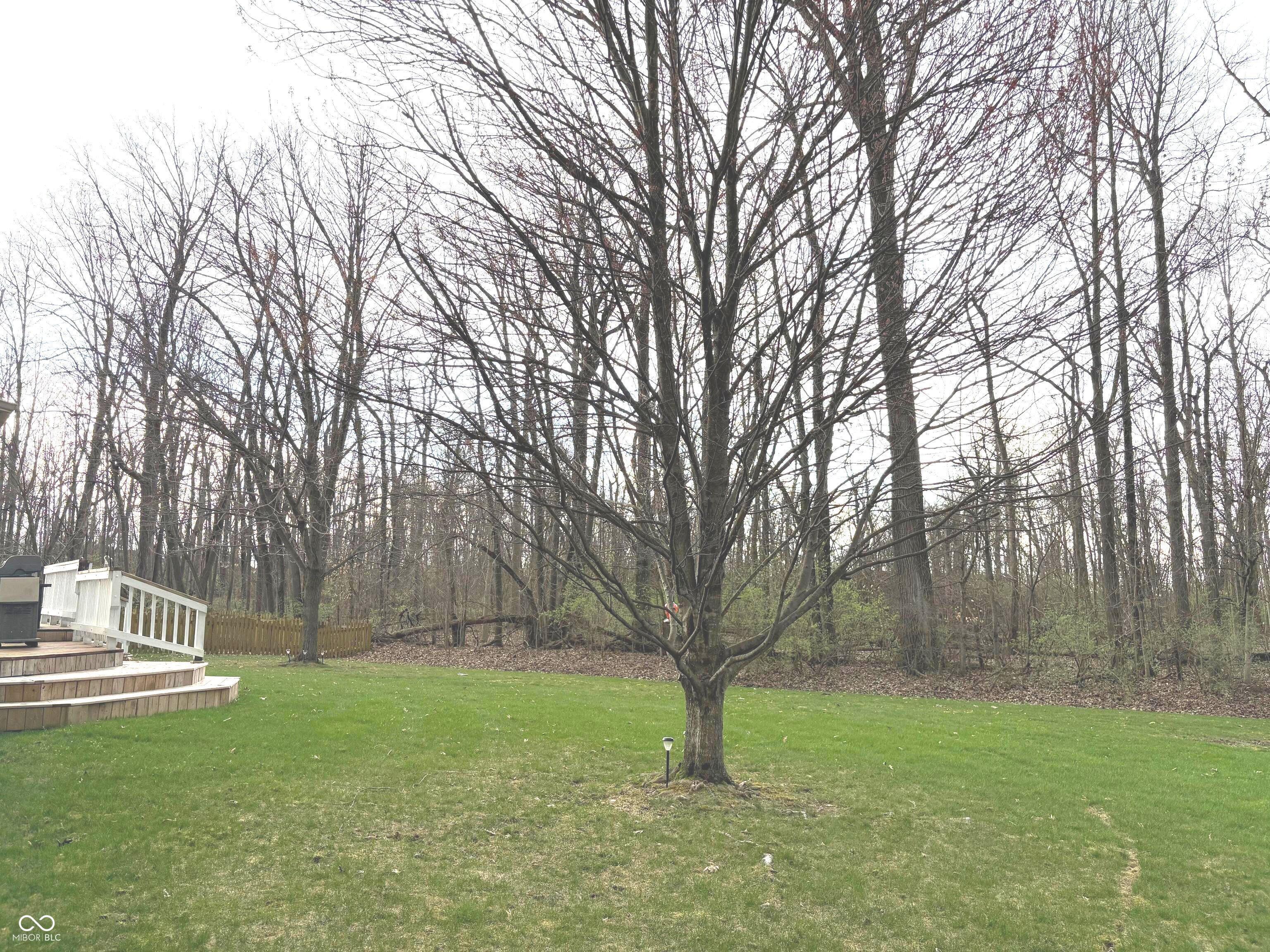Photo #6