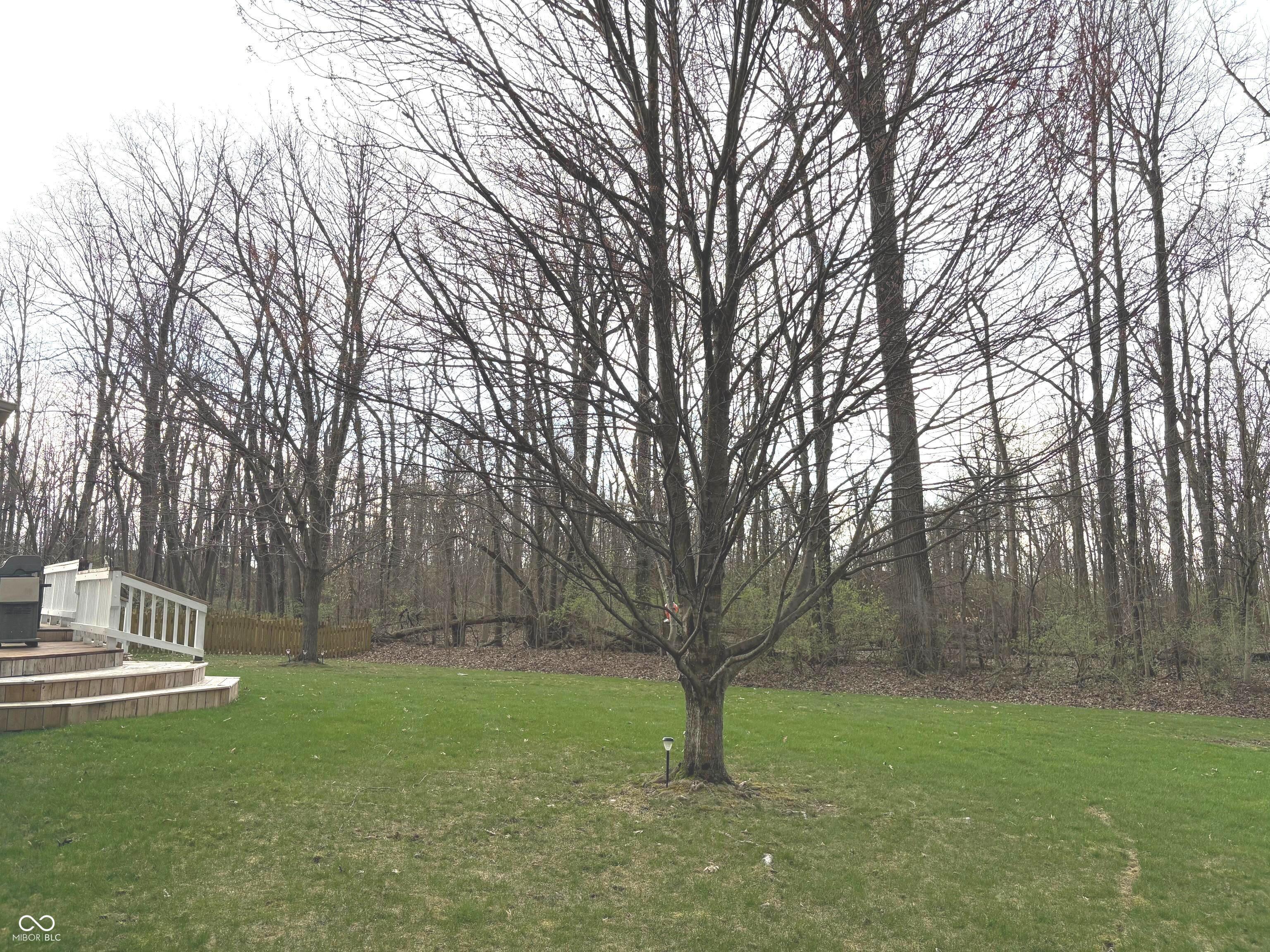 Photo #33