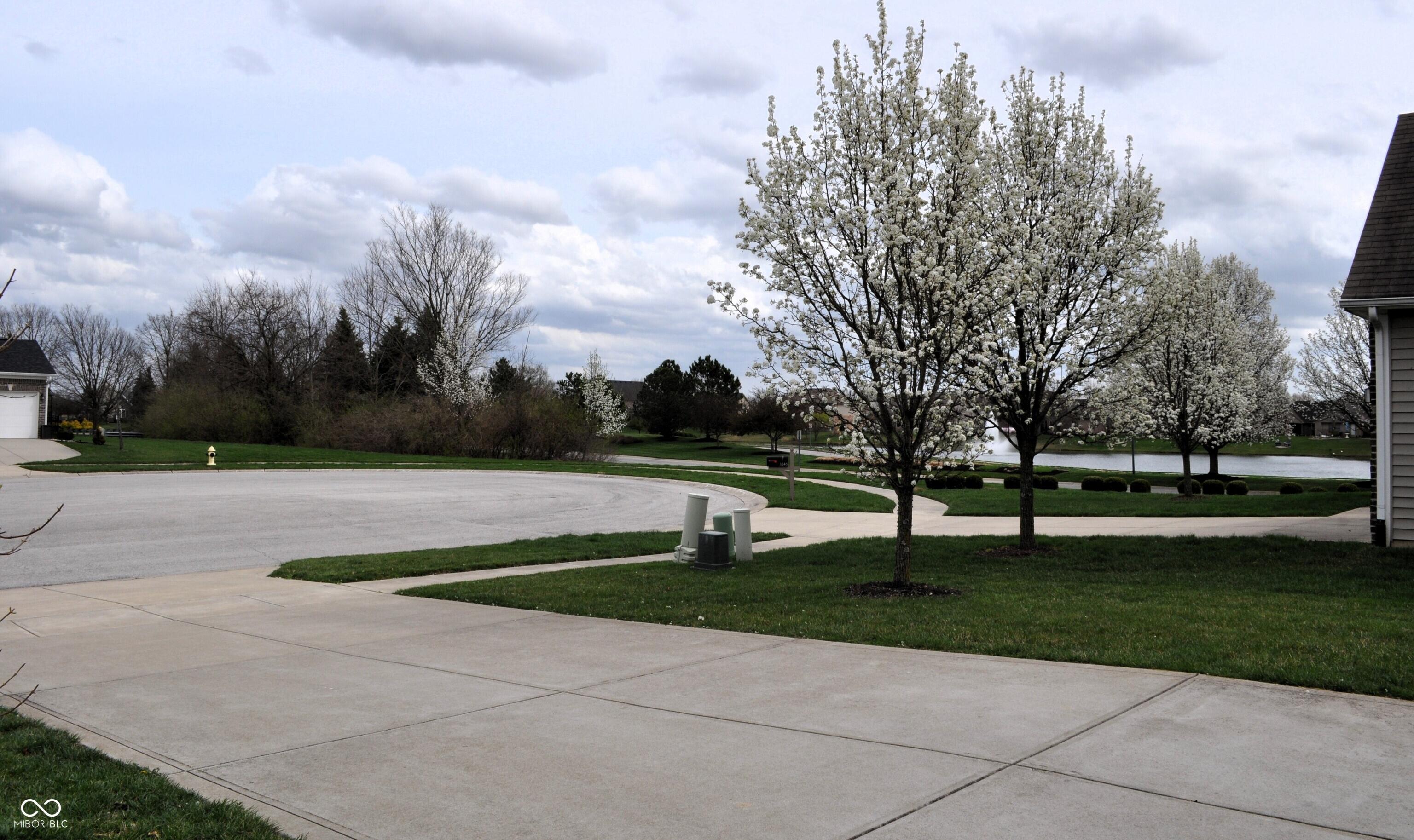 Photo #34