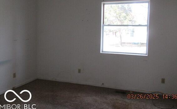Photo #11
