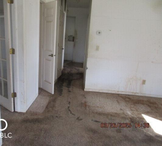 Photo #7