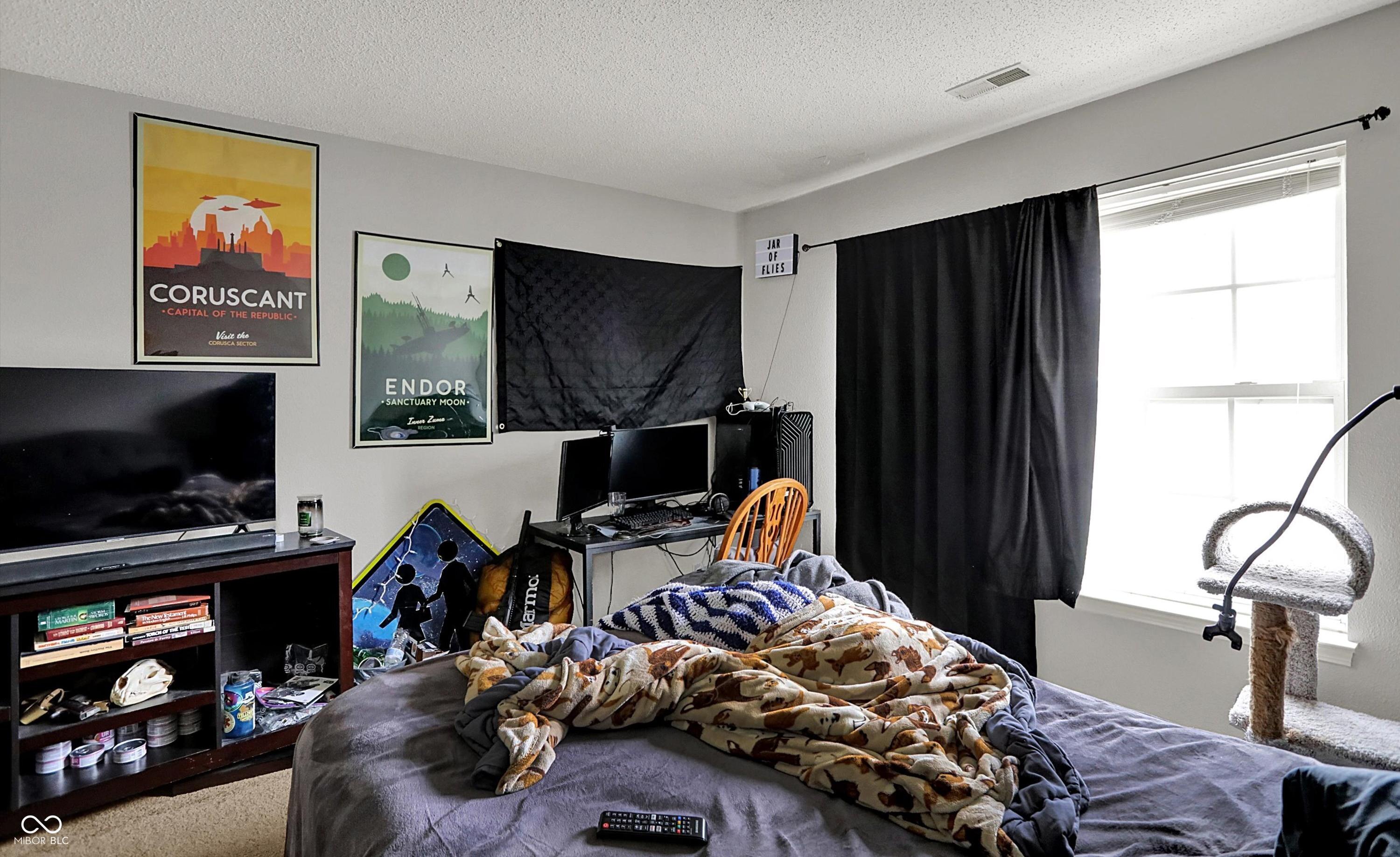 Photo #11