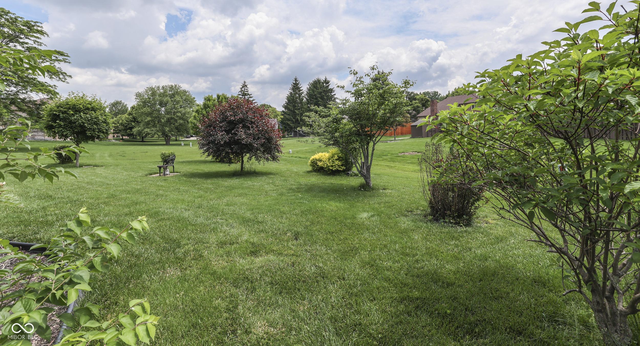 Photo #34