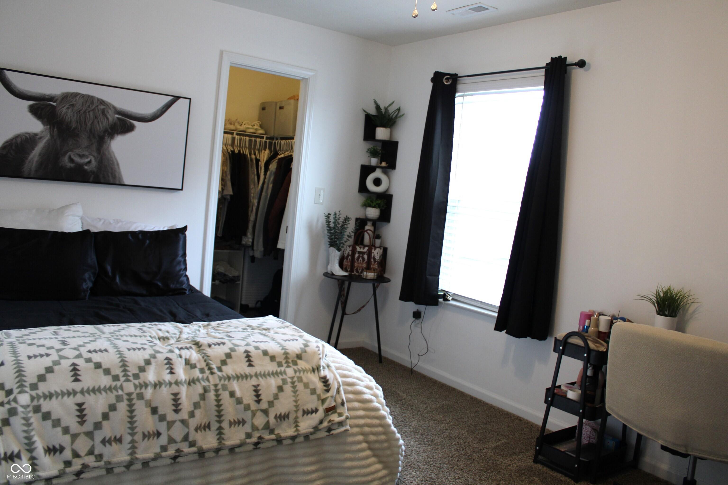Photo #29