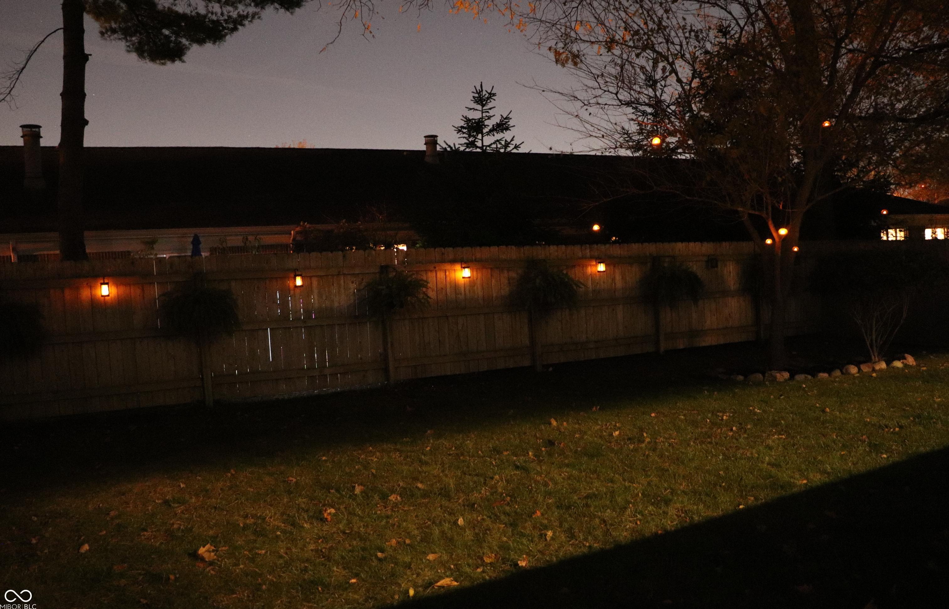 Photo #35