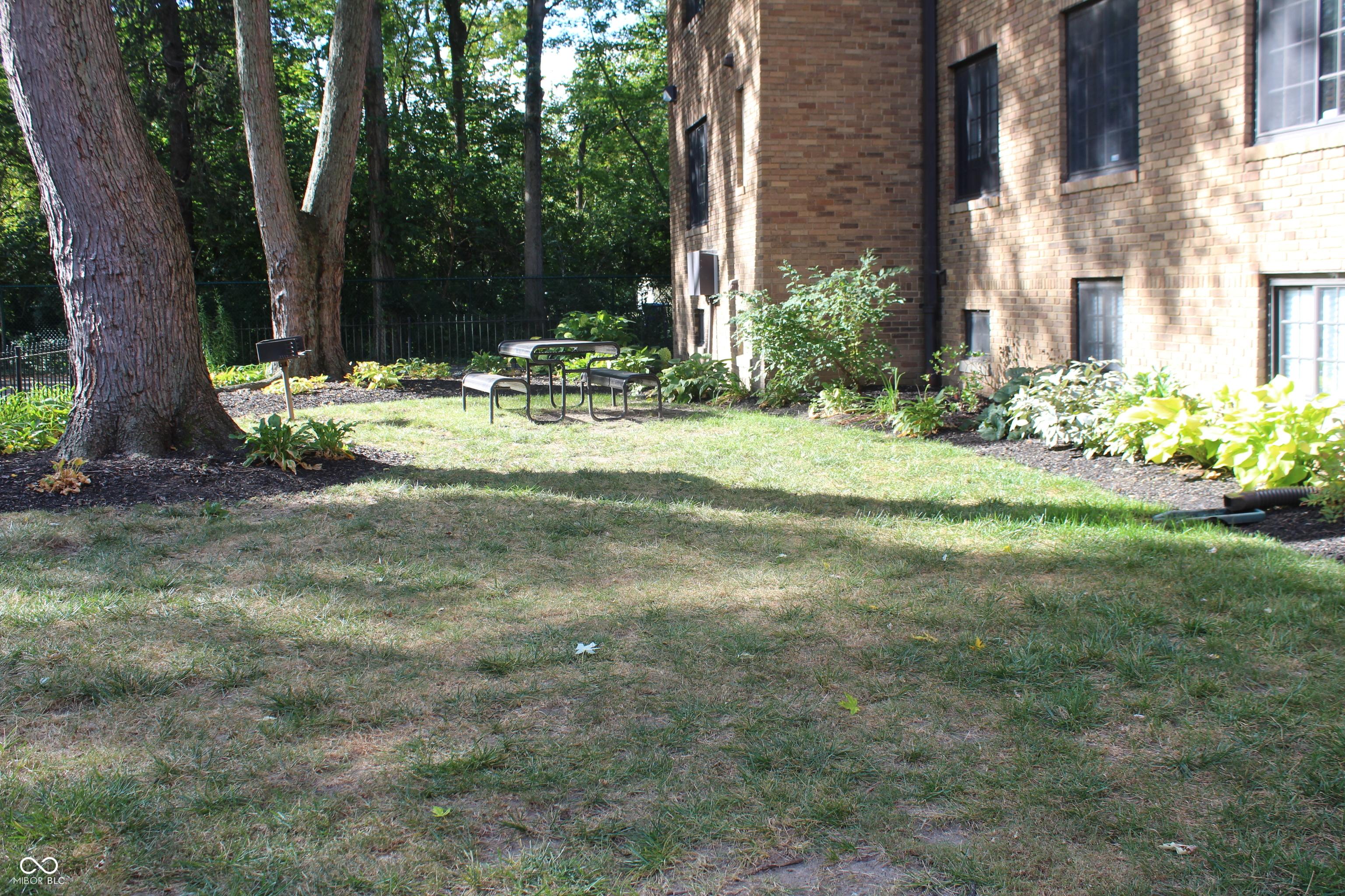 Photo #22