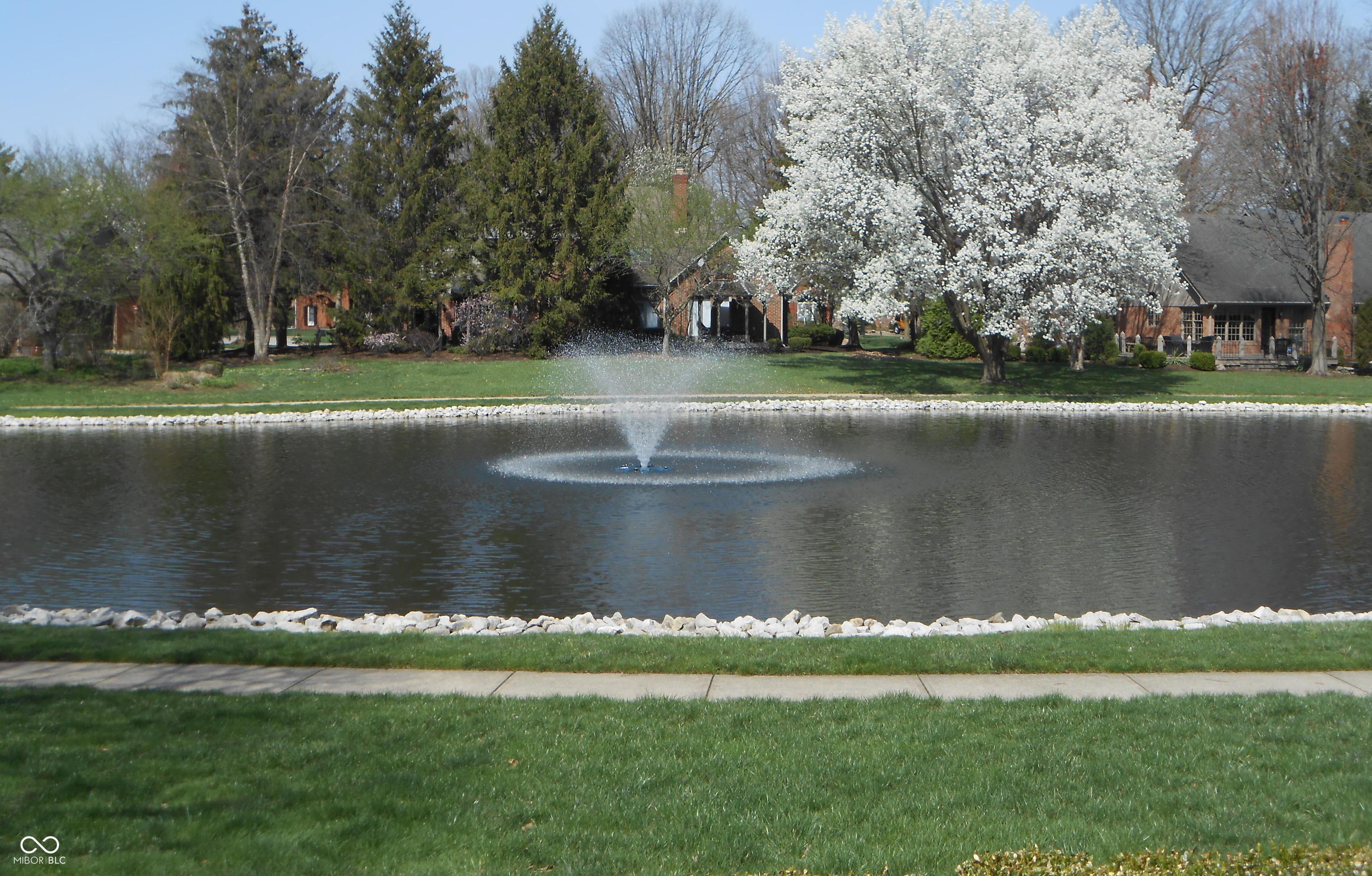 Photo #13