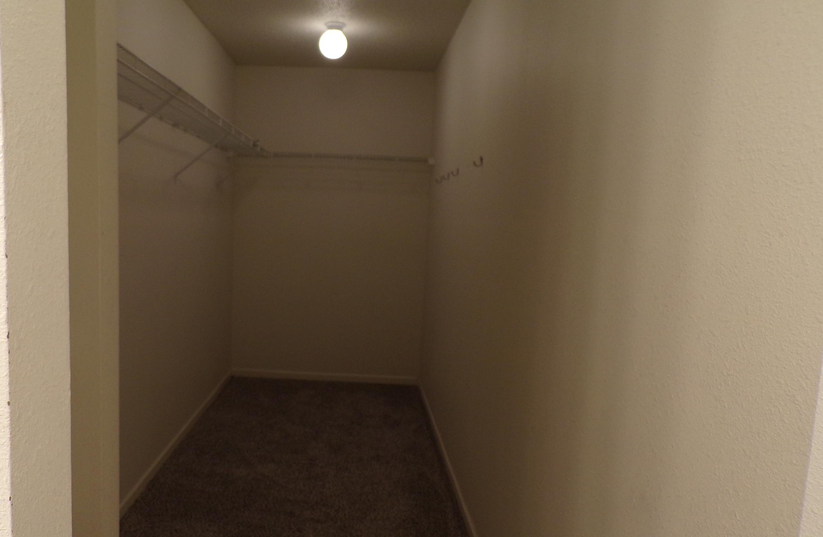 Photo #19
