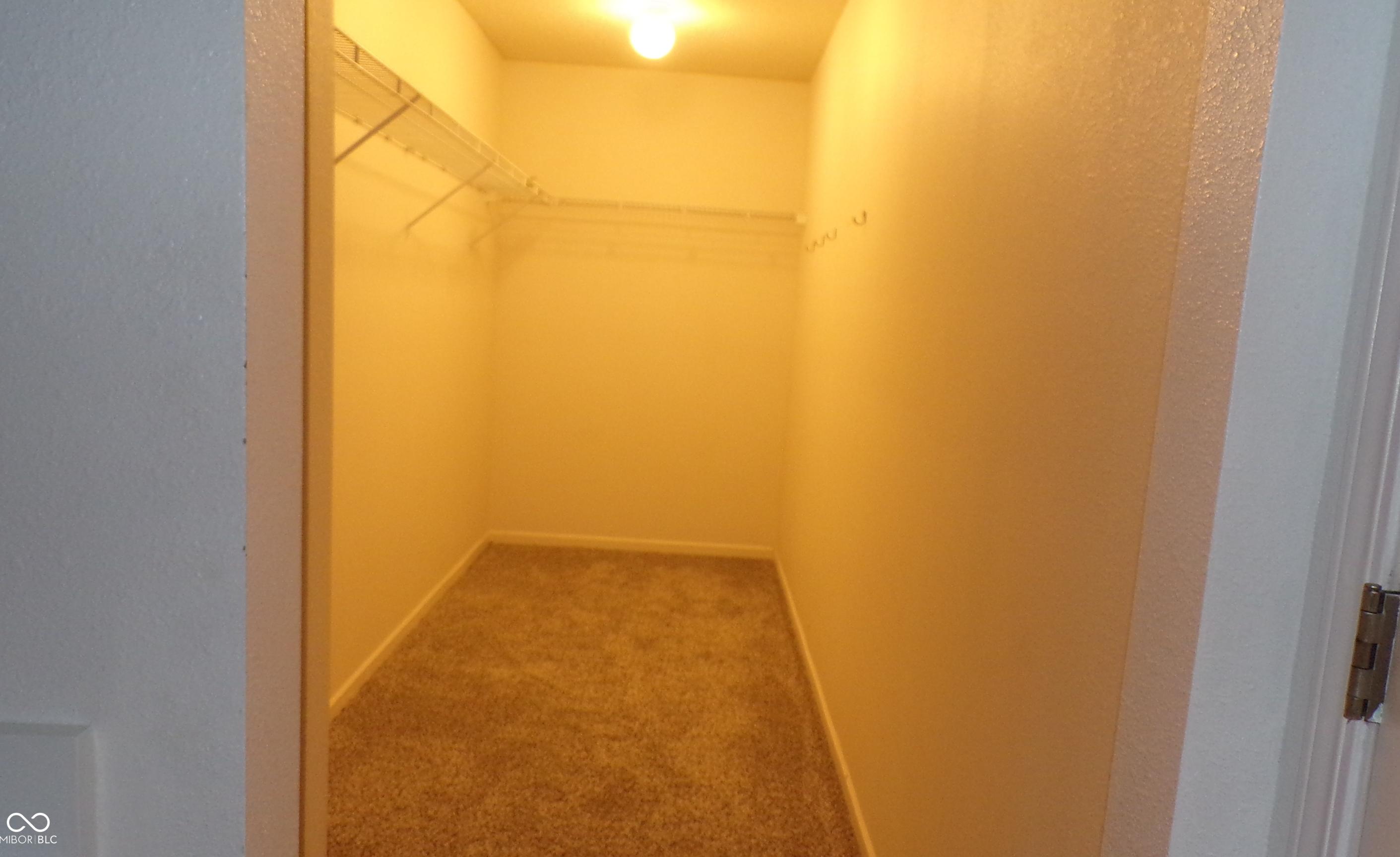 Photo #20