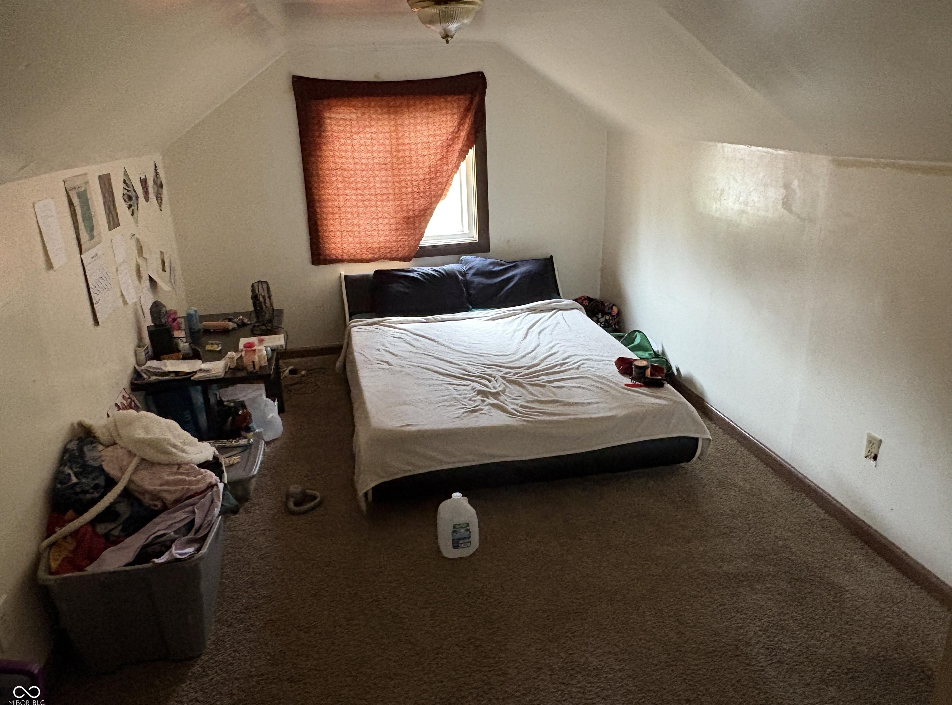 Photo #11