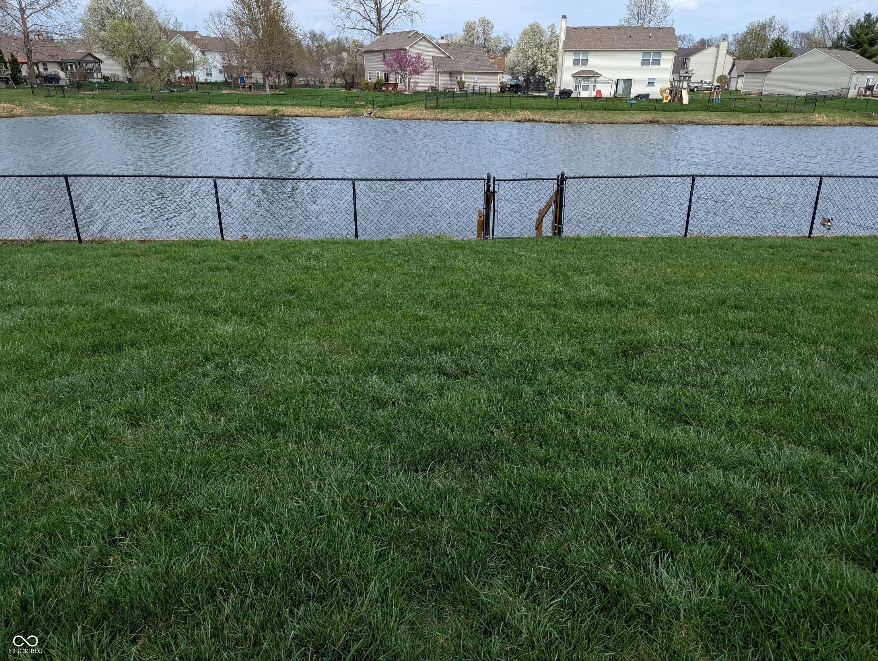 Photo #36