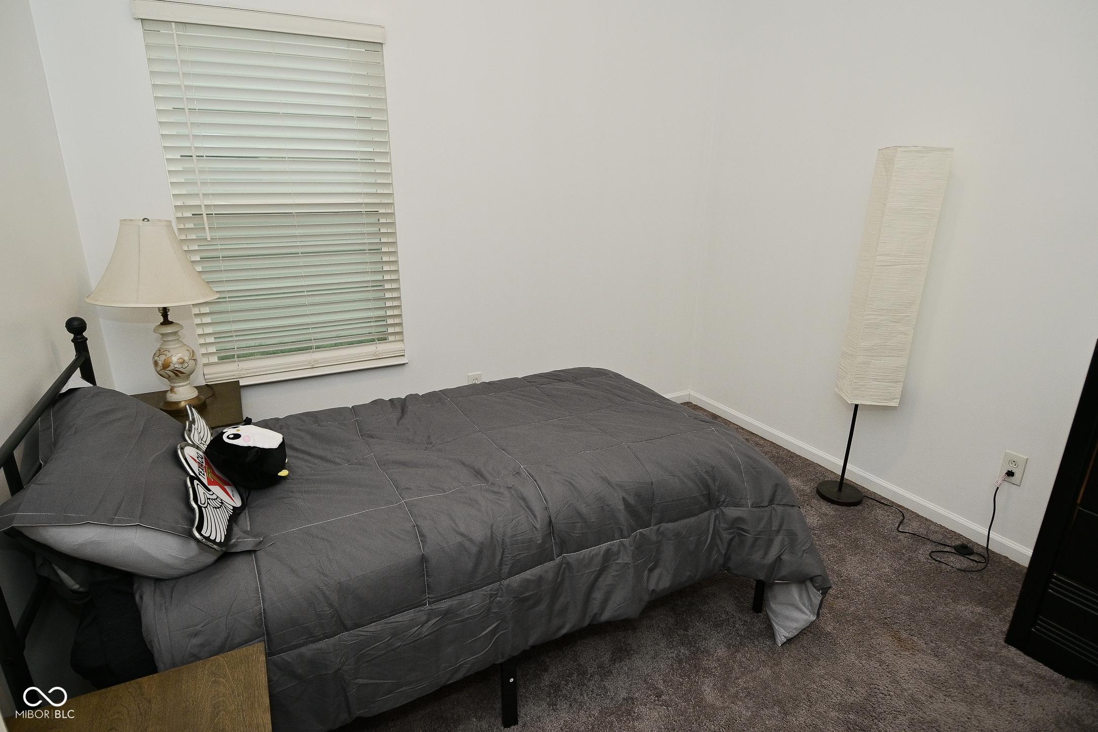 Photo #29