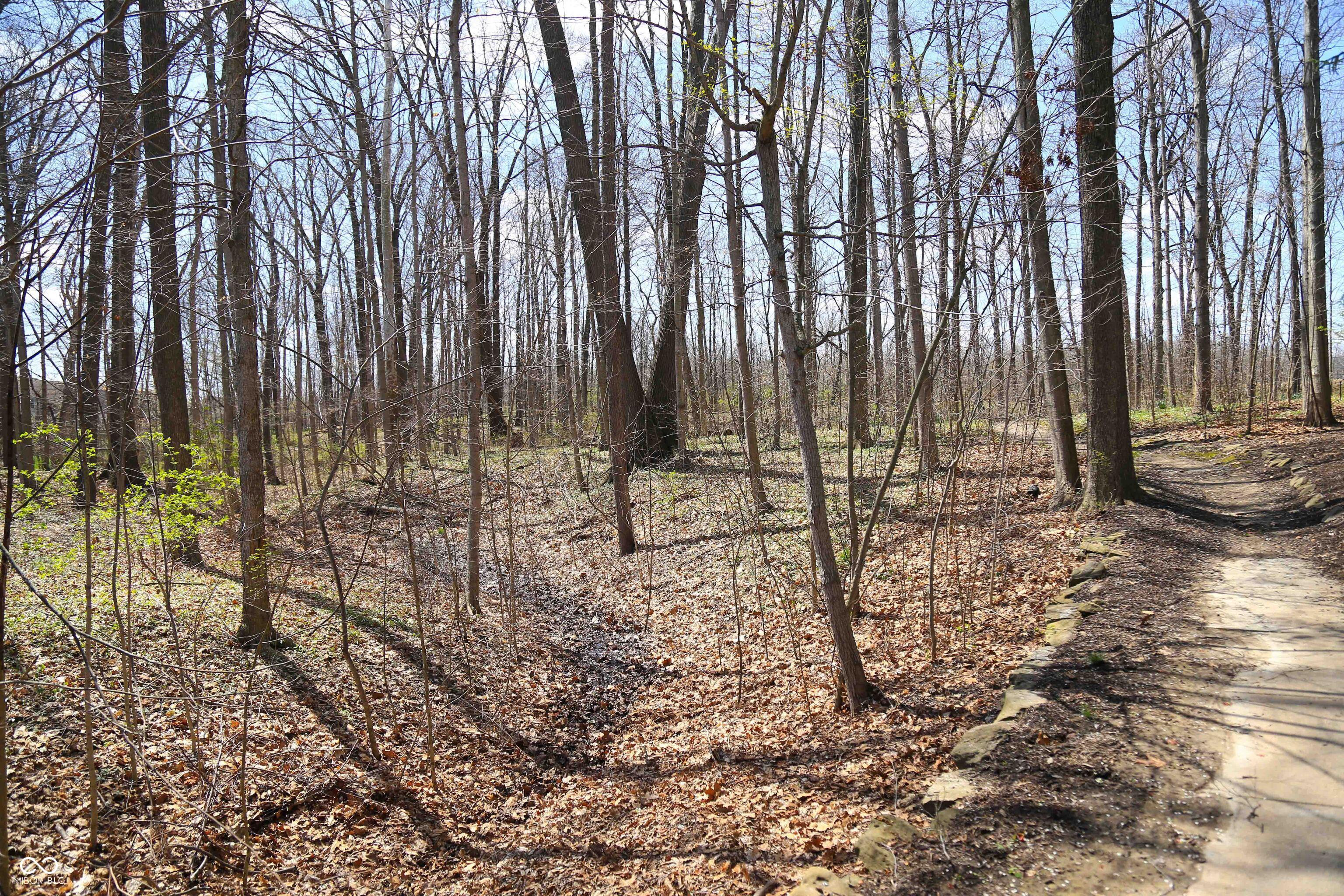 Photo #35