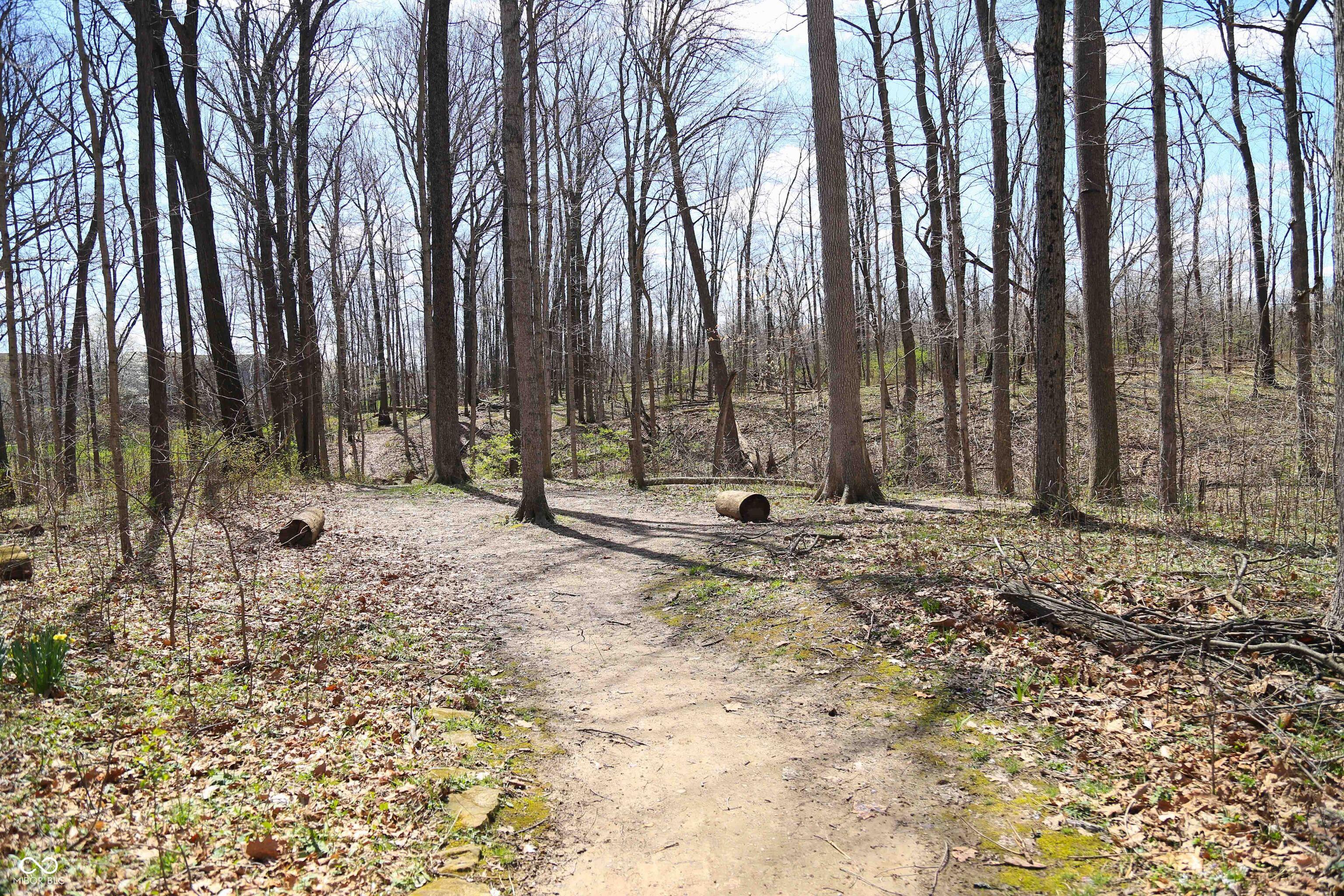 Photo #36