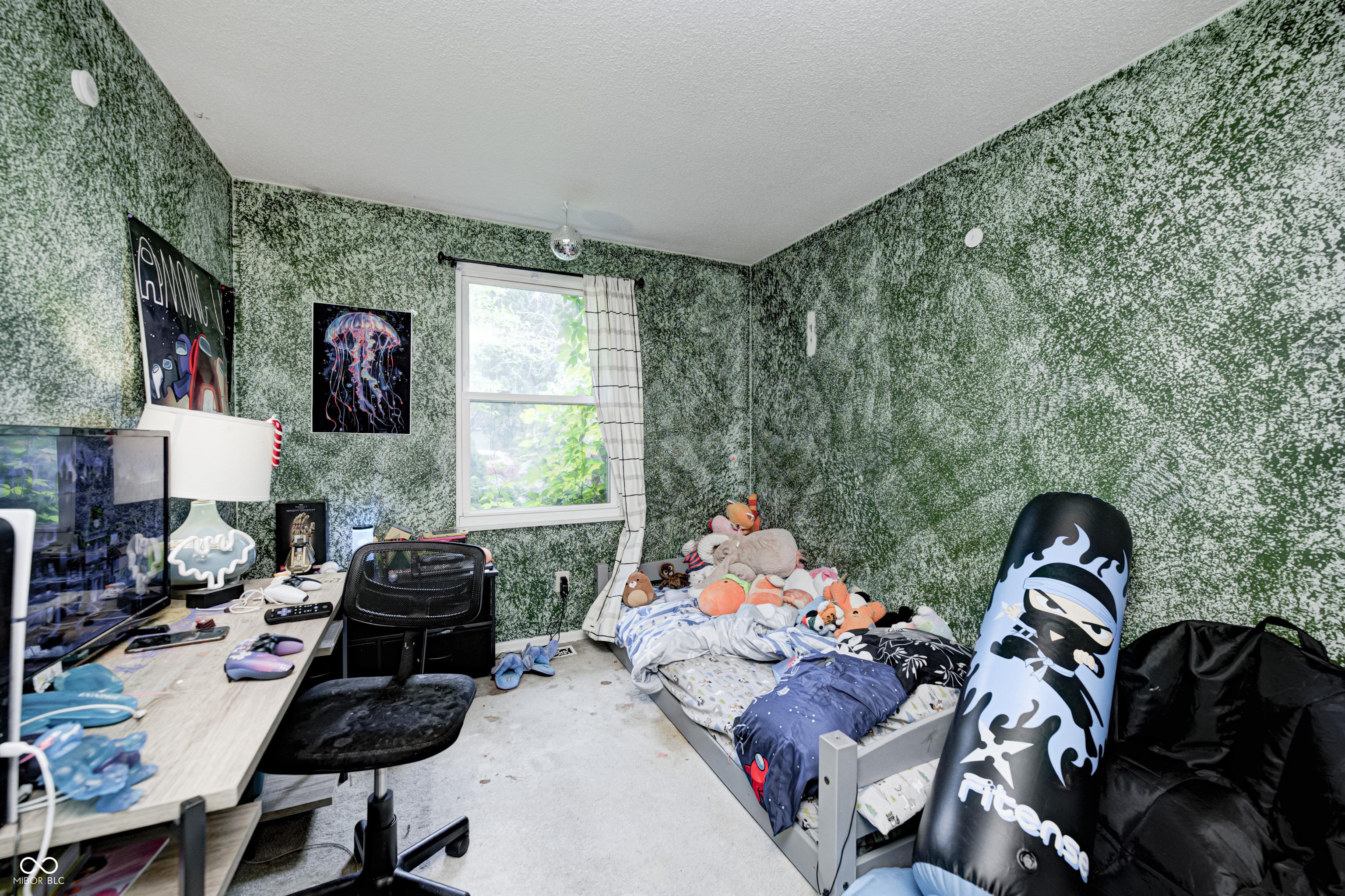 Photo #16
