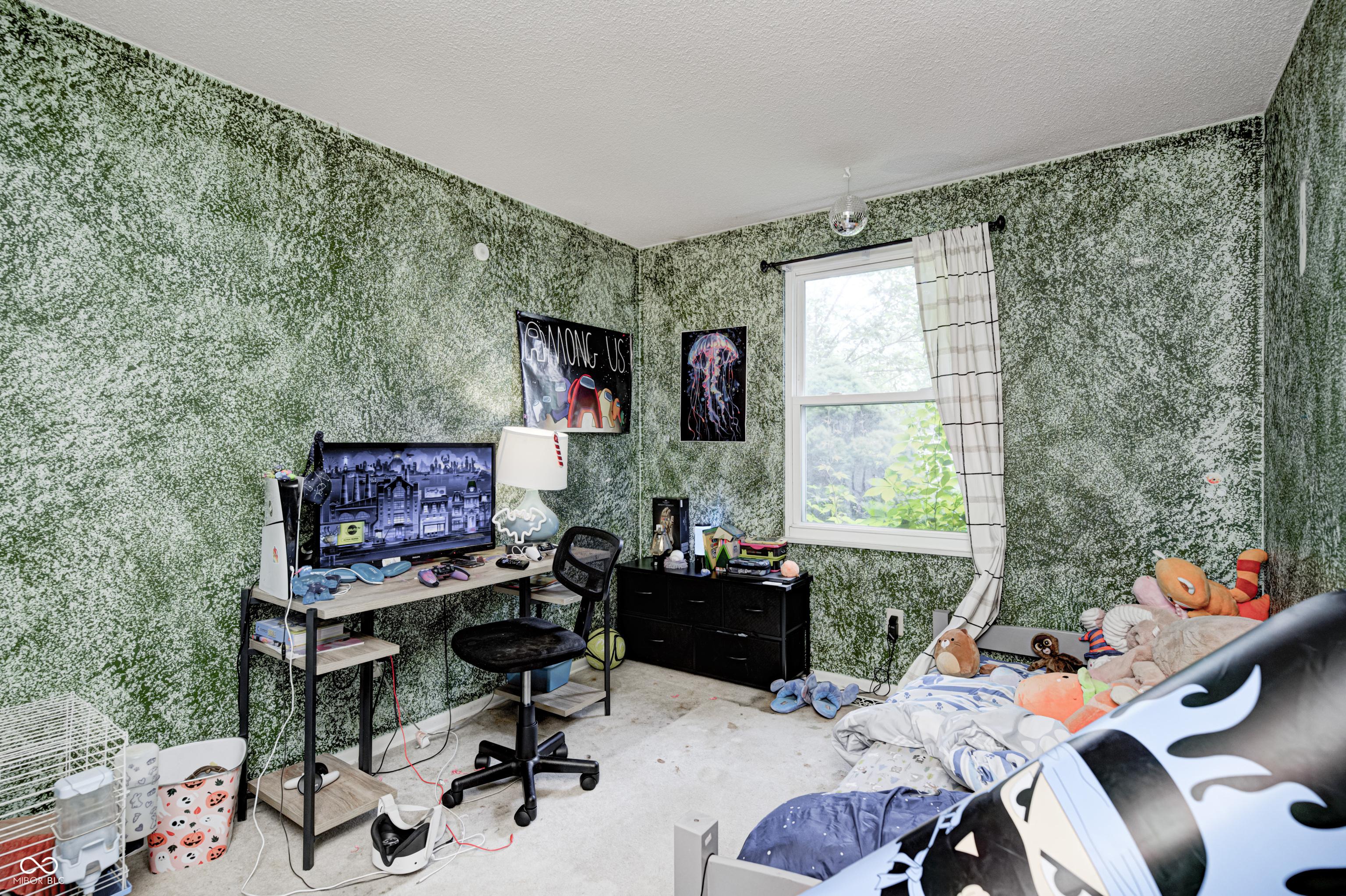 Photo #15