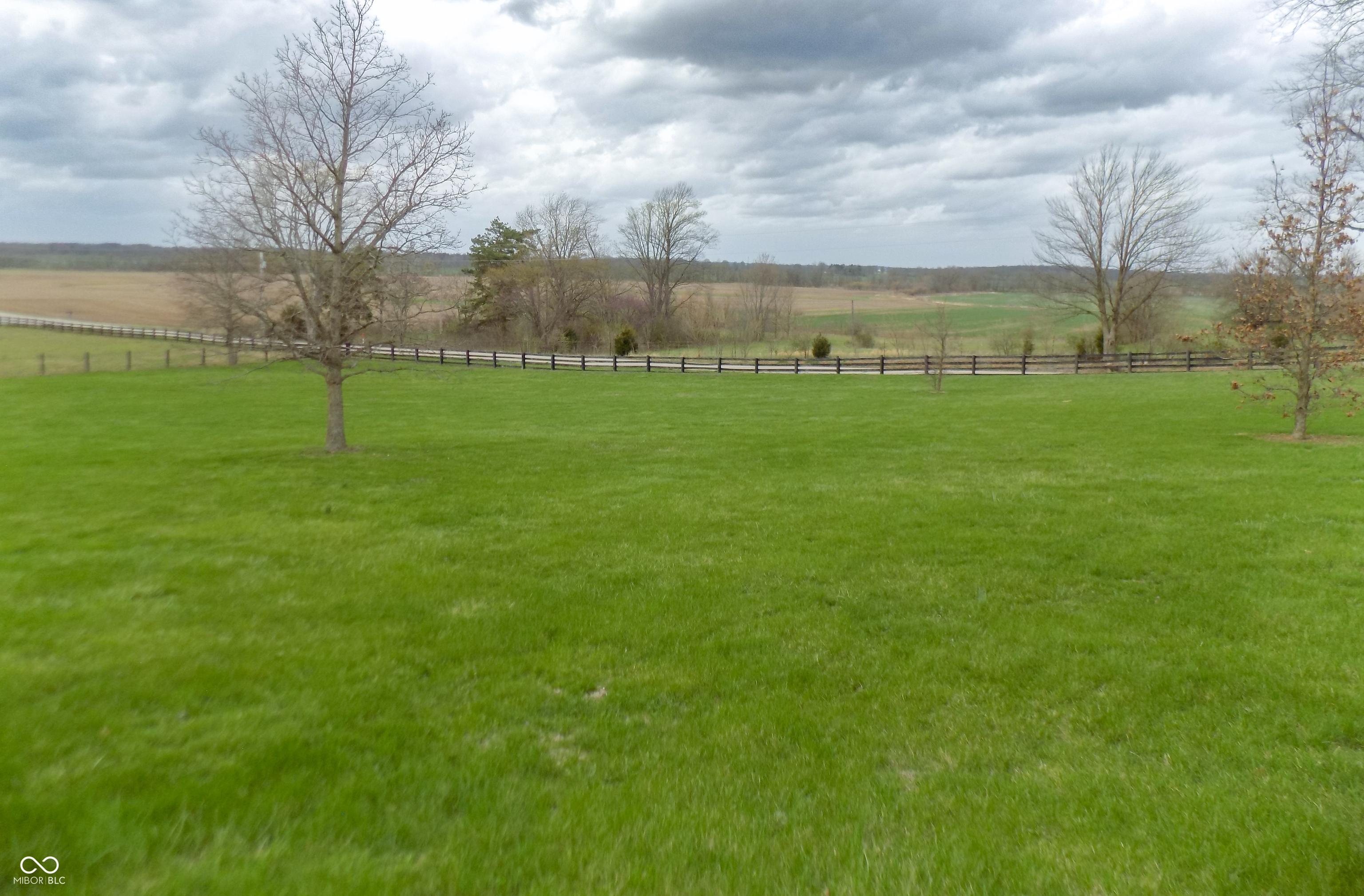 Photo #37