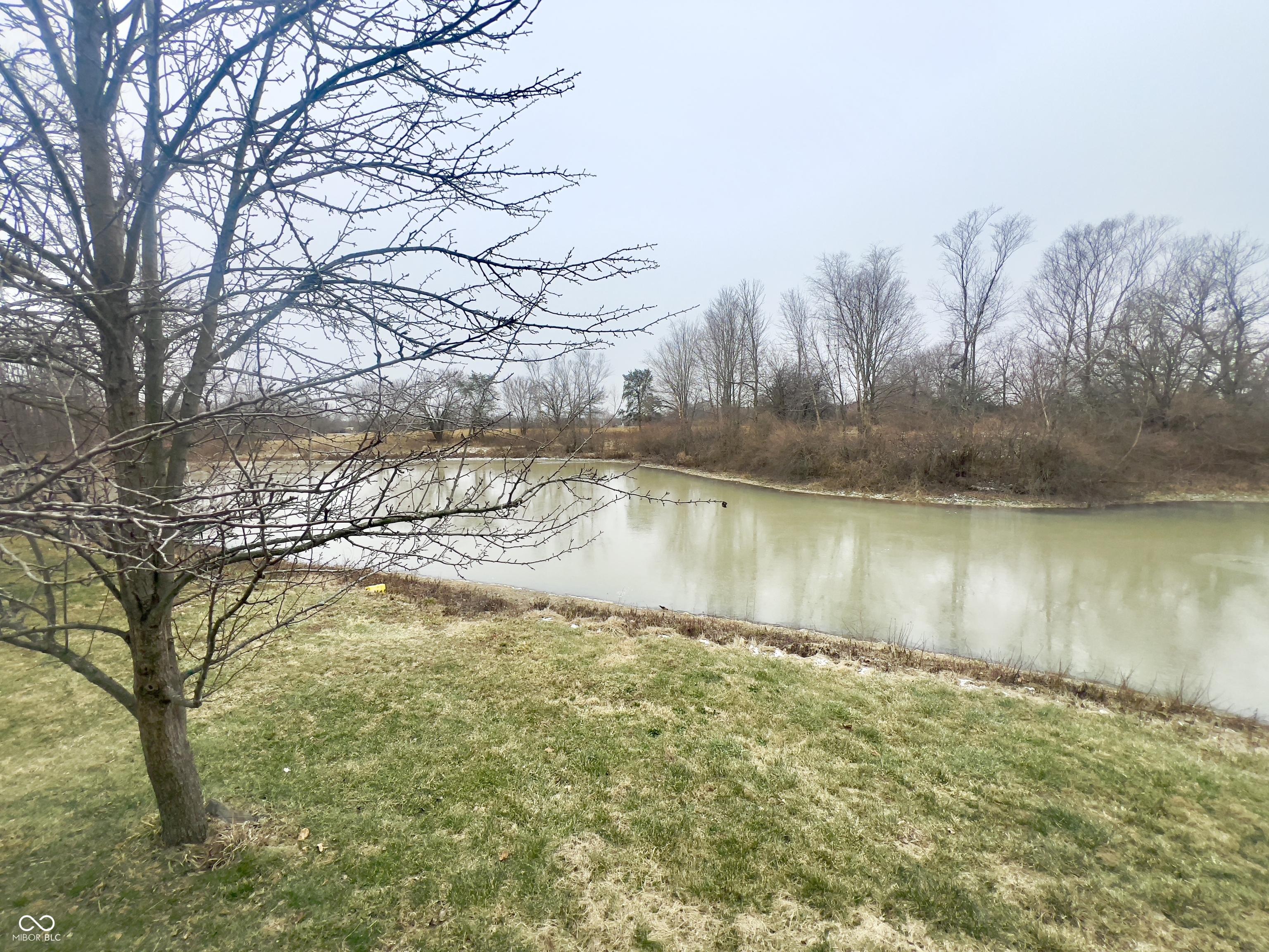 Photo #24