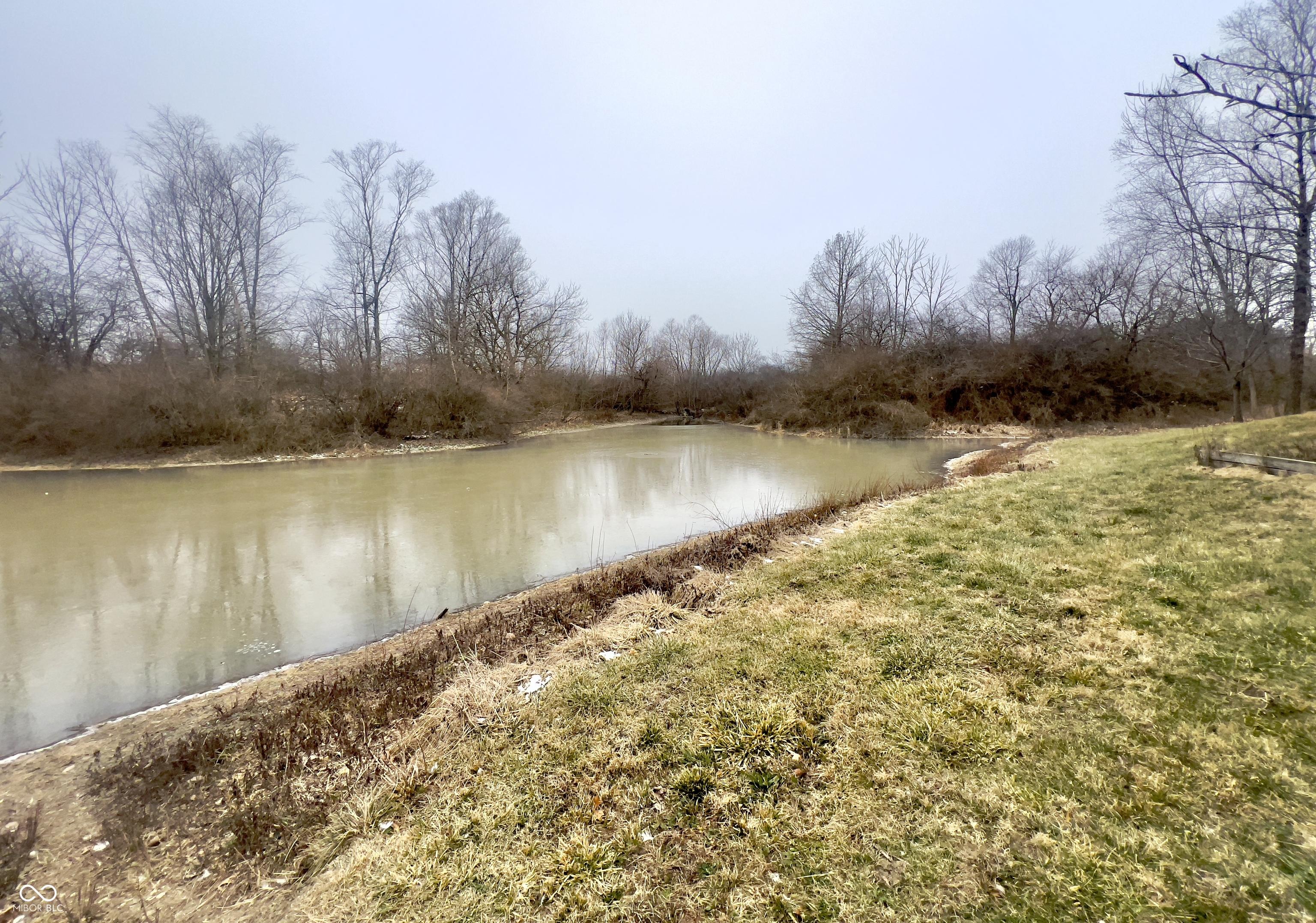 Photo #42