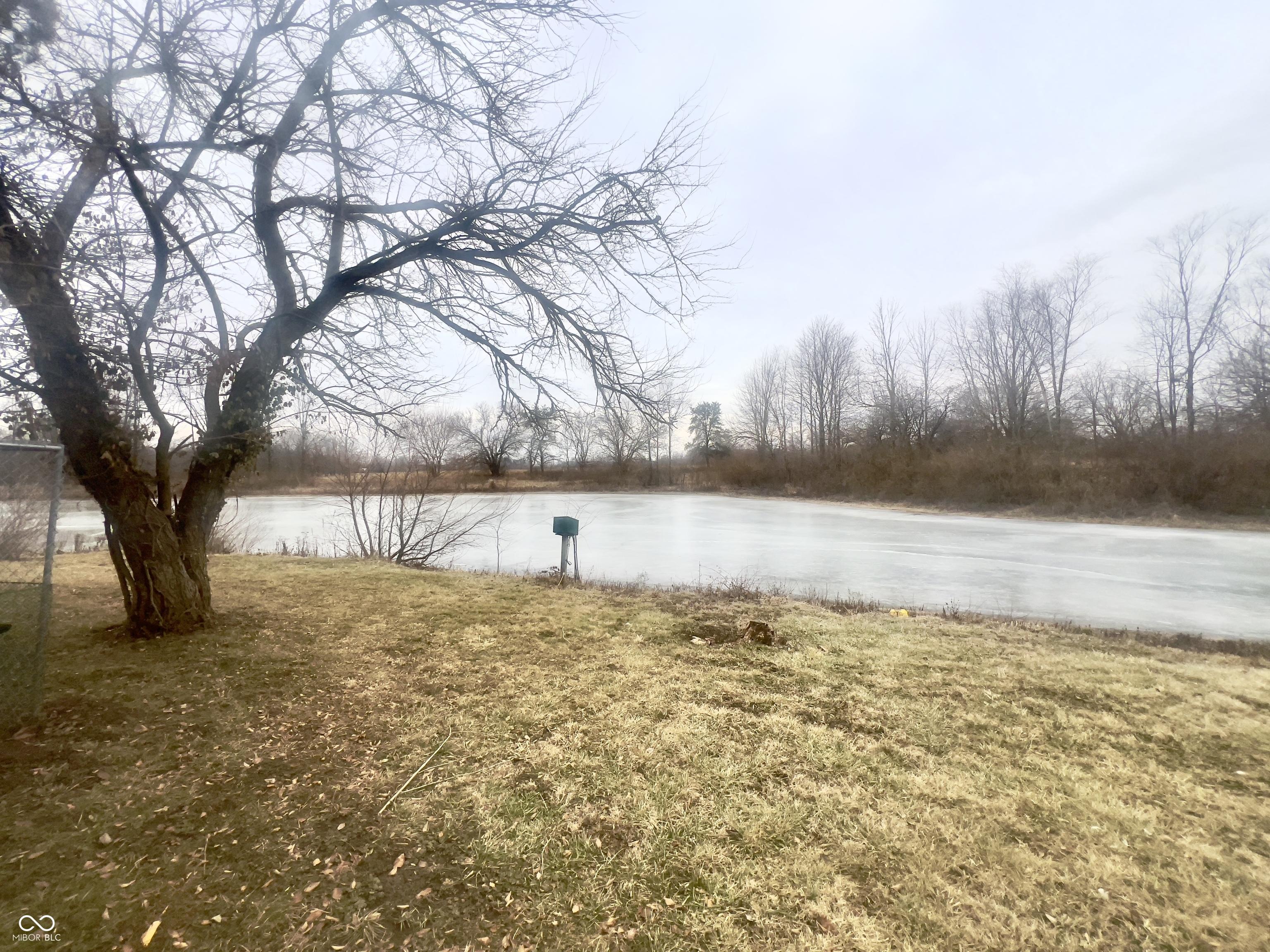 Photo #51