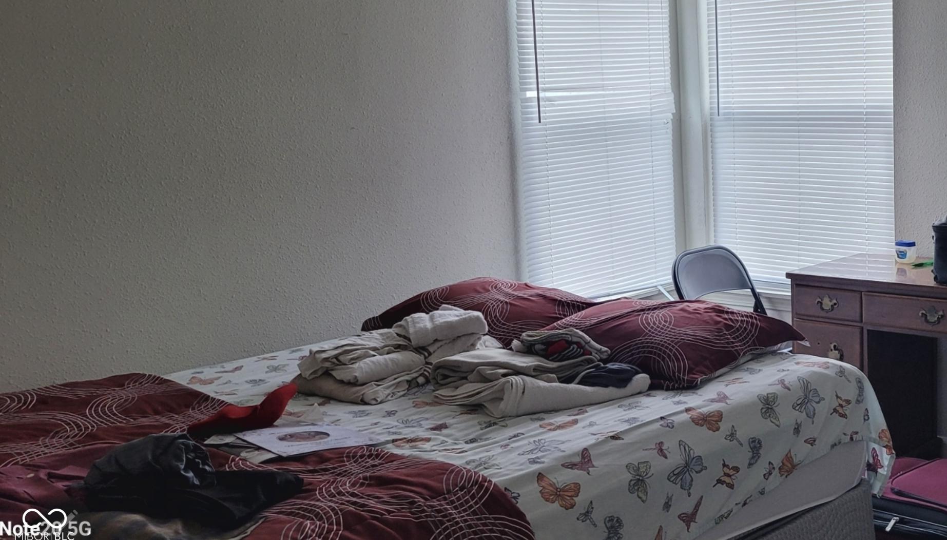Photo #12