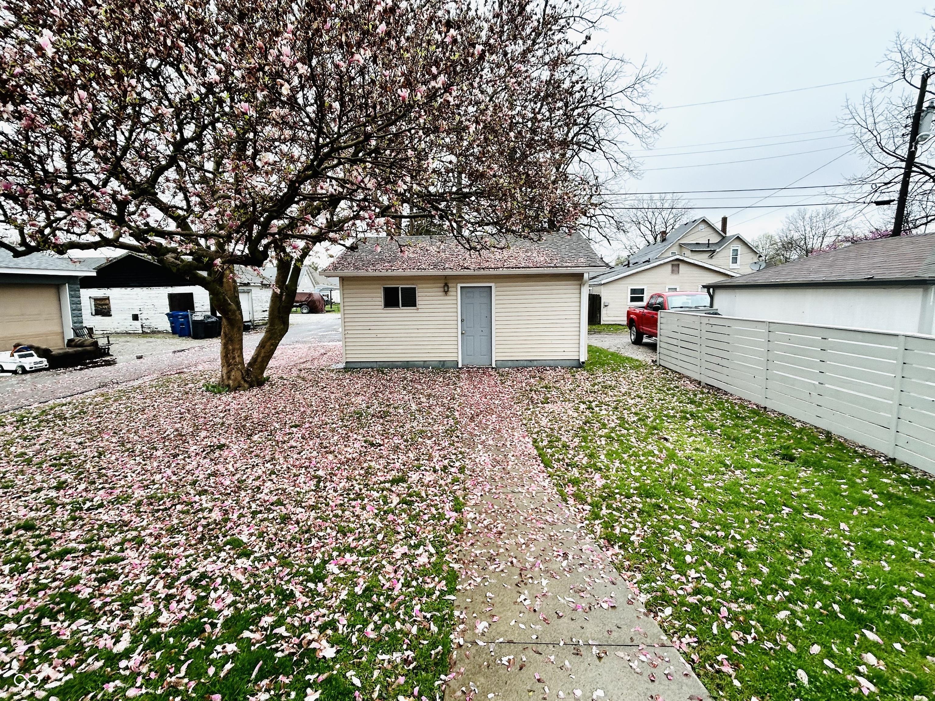 Photo #5