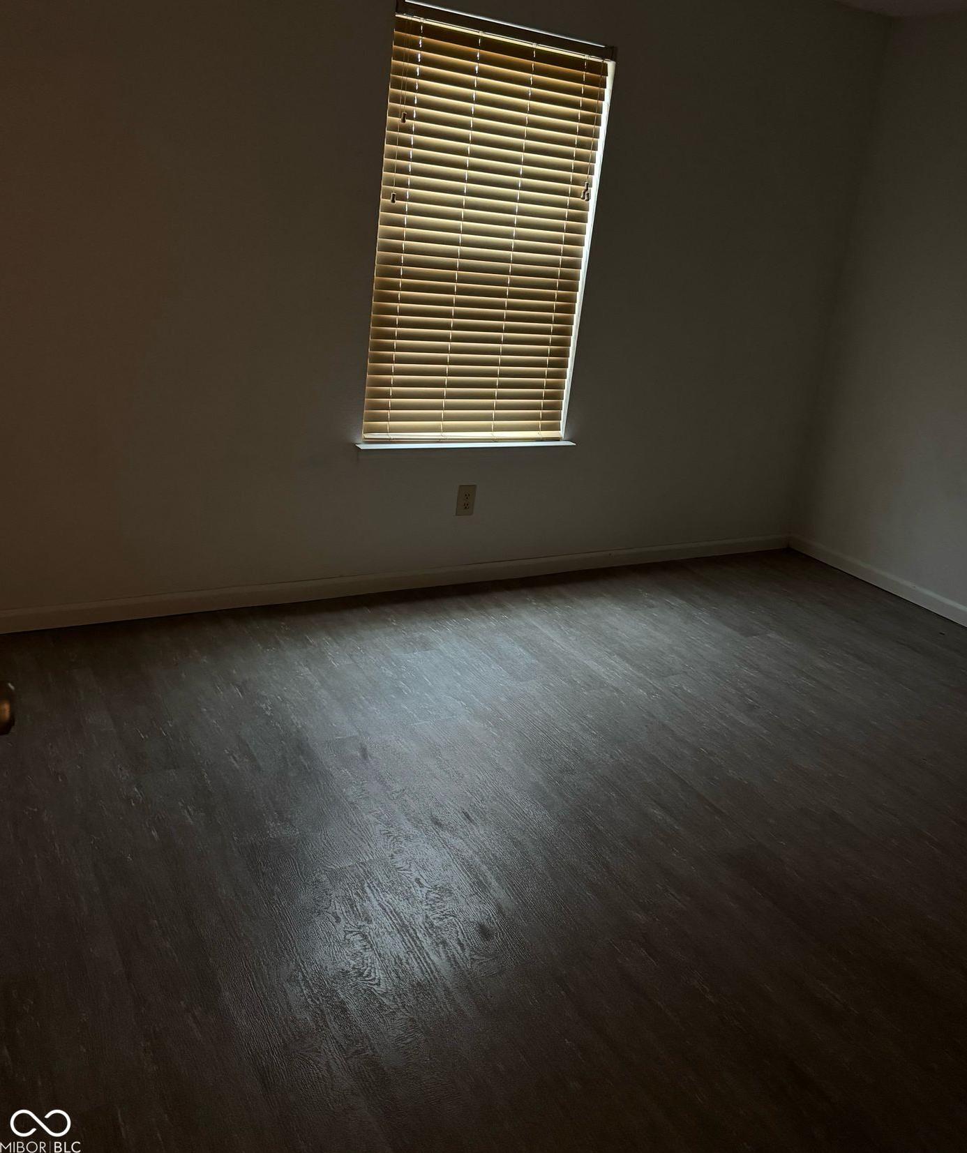 Photo #17