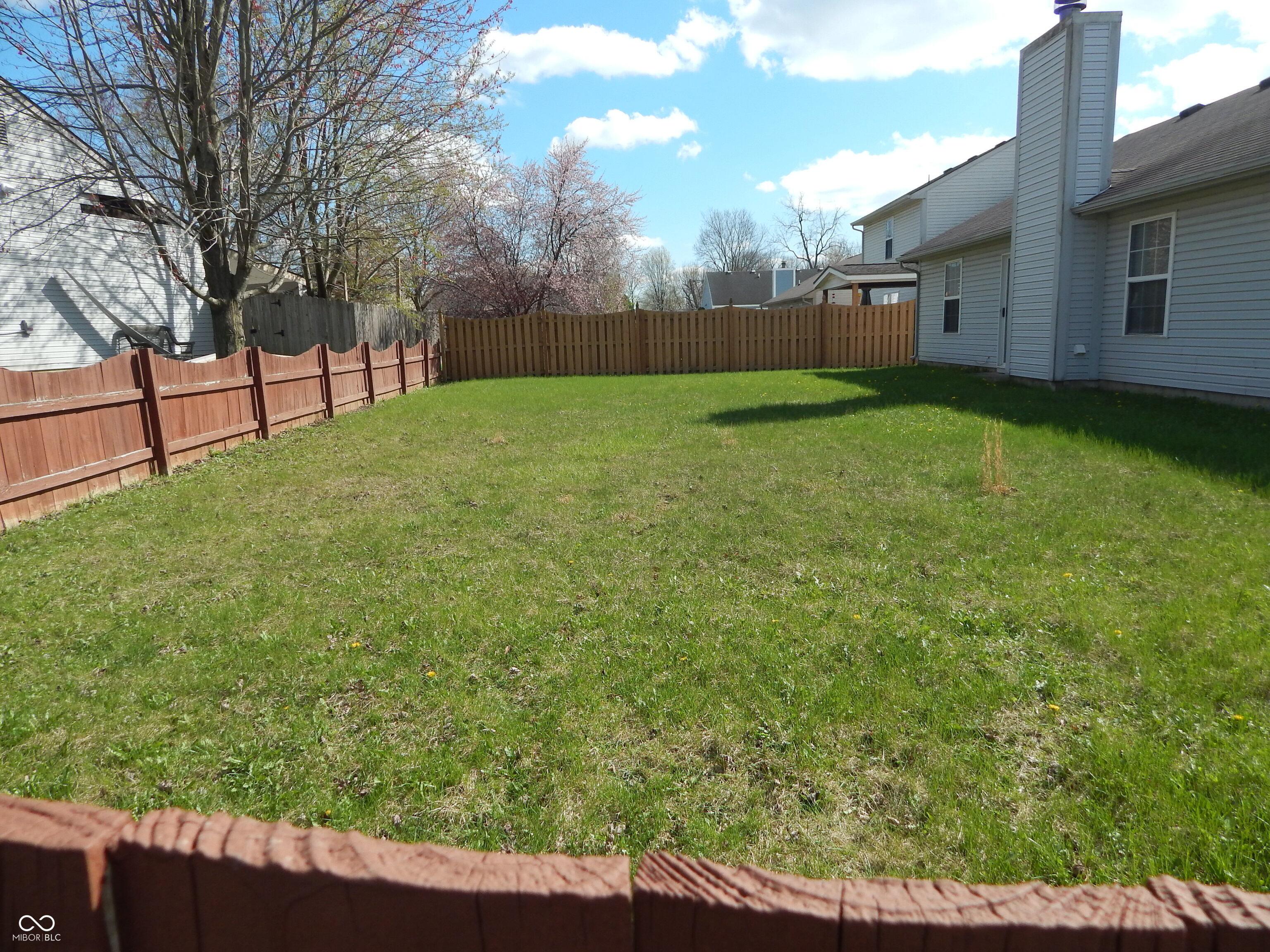 Photo #24