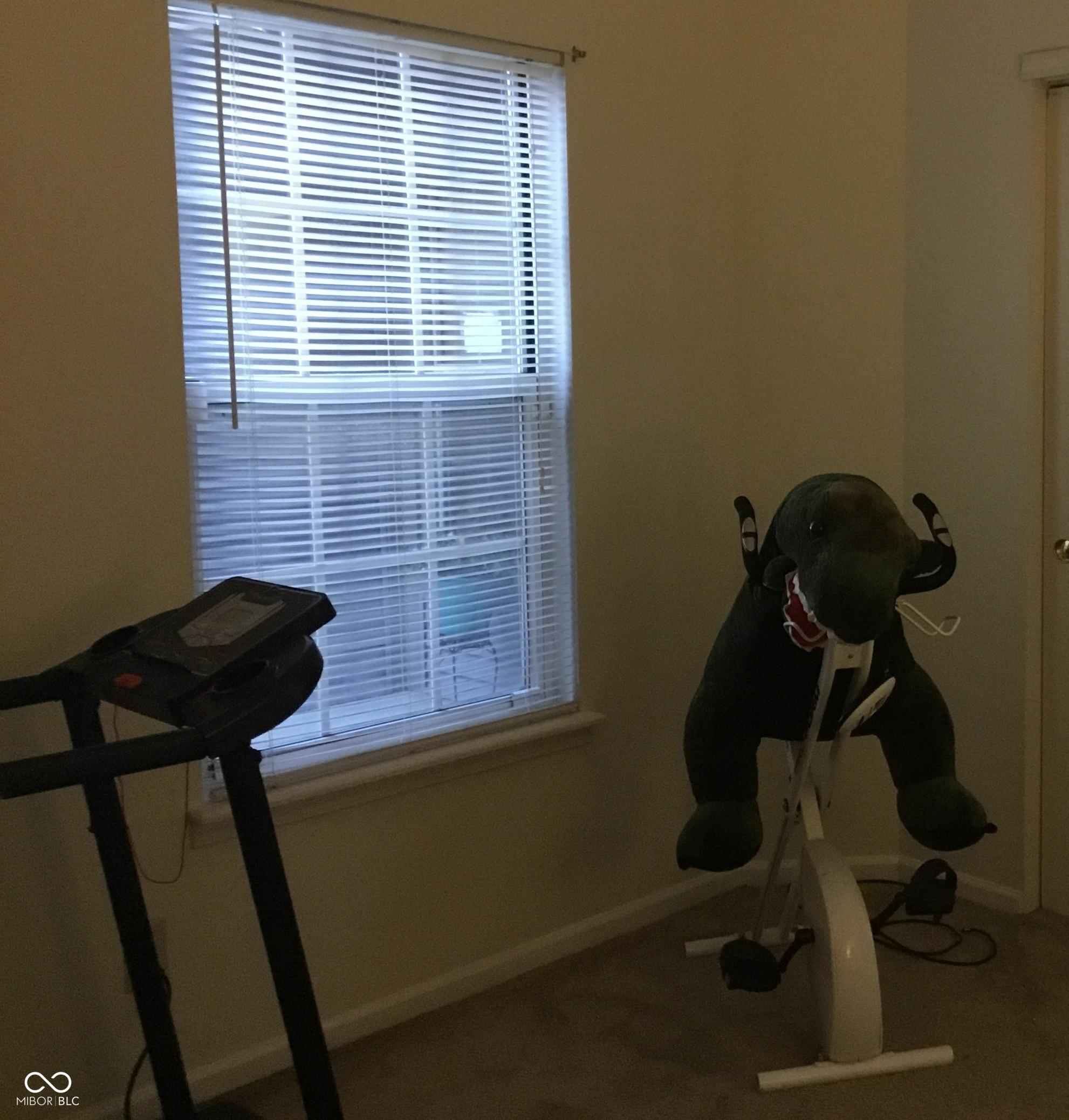 Photo #18