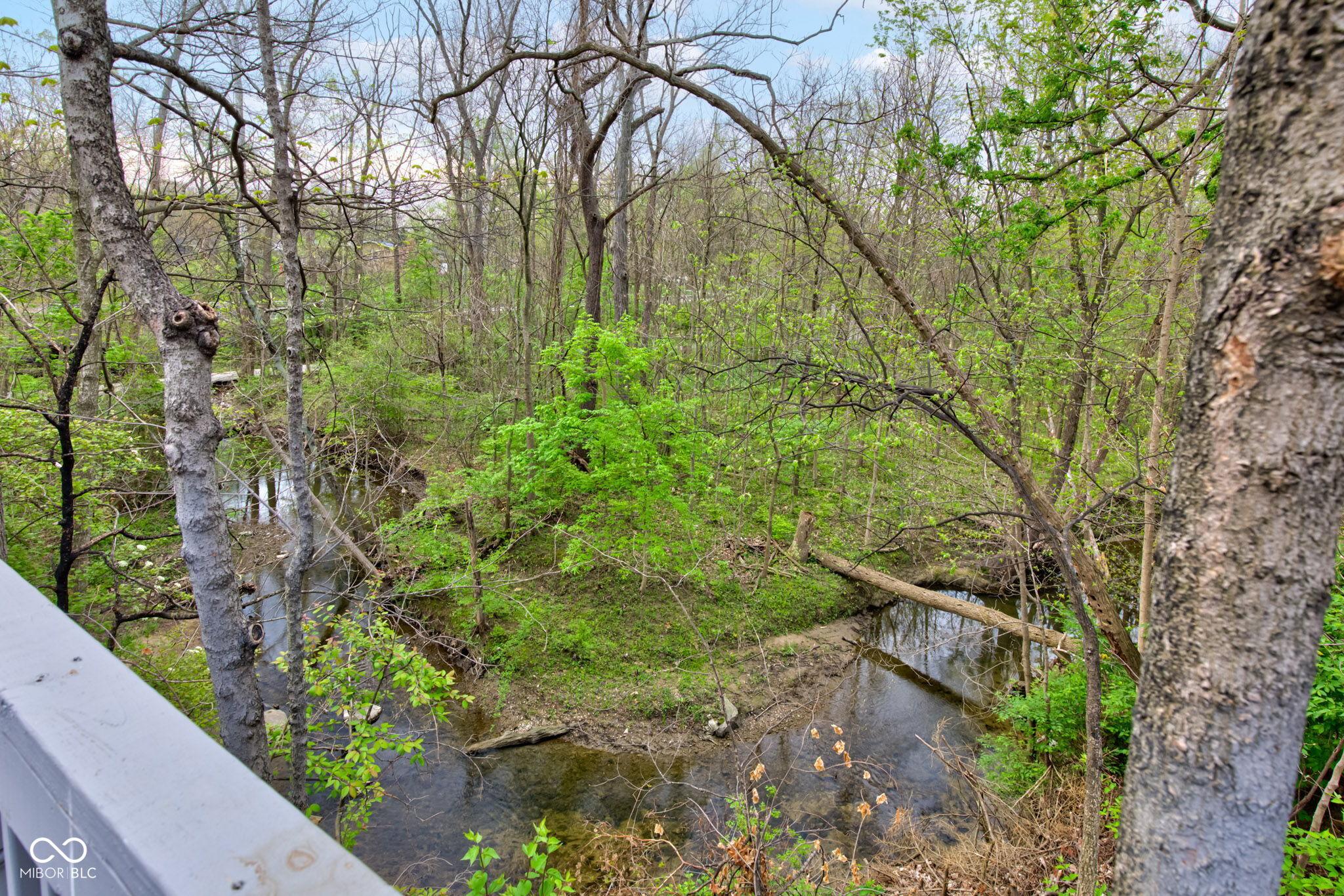 Photo #6