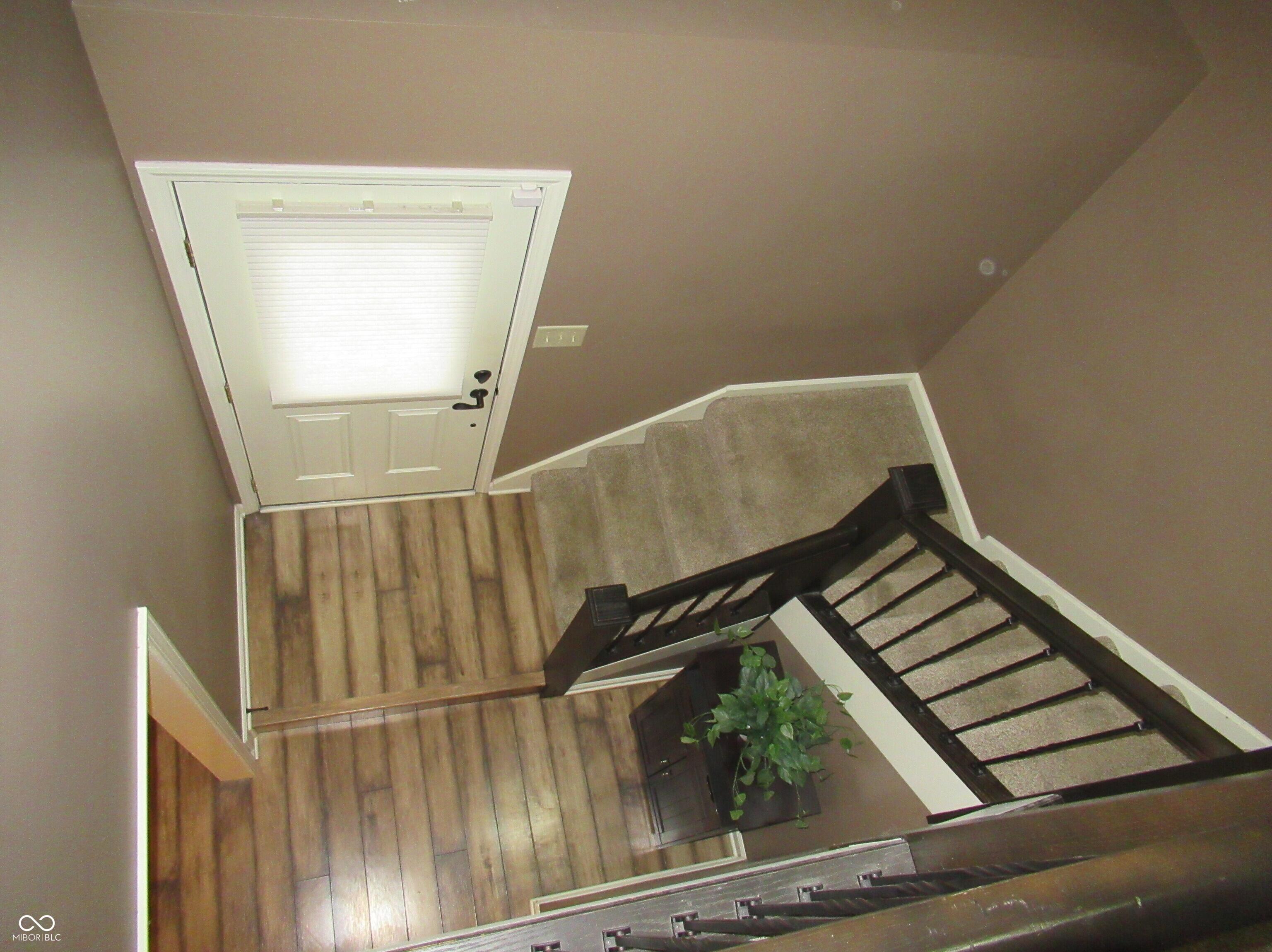 Photo #2
