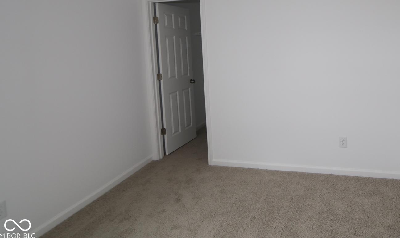 Photo #12