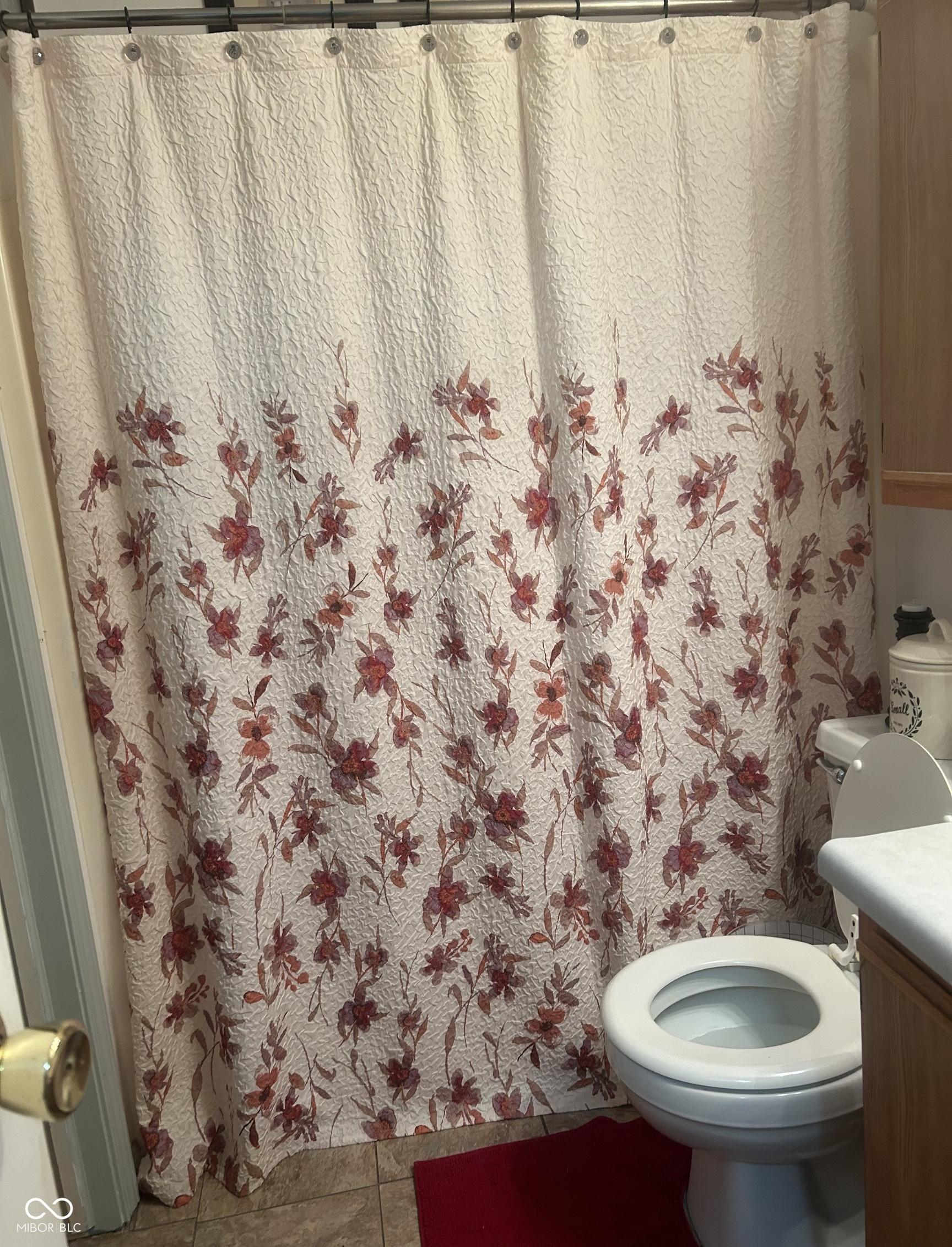 Photo #12