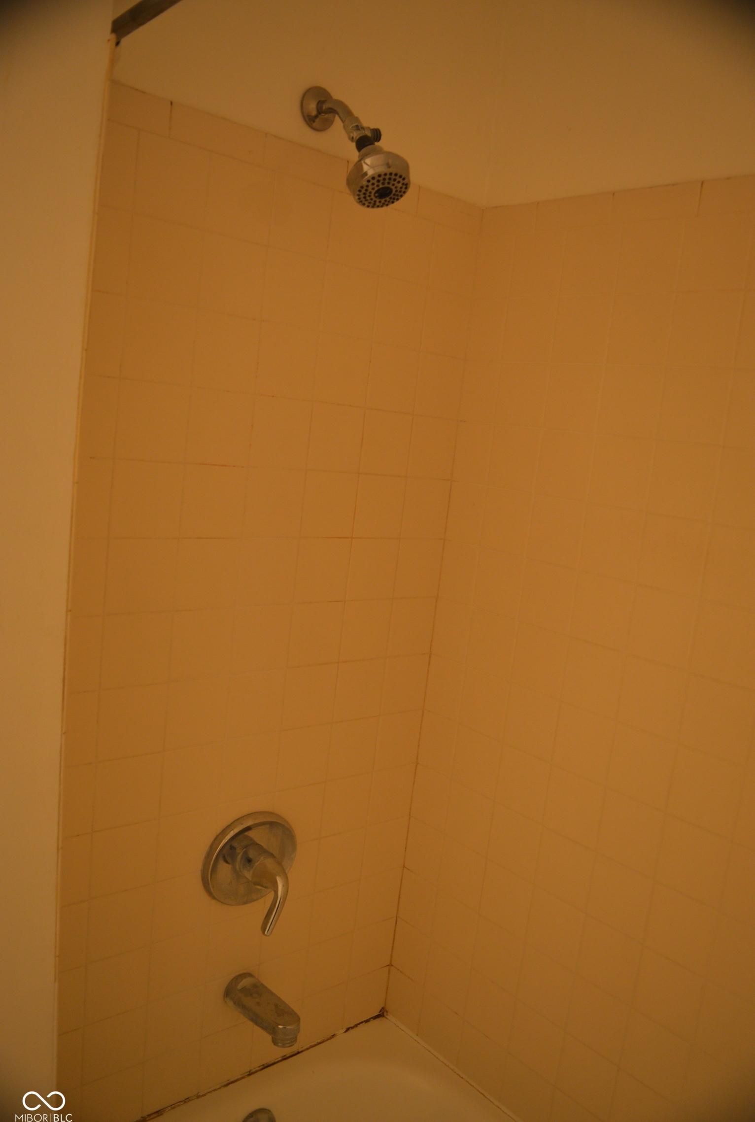 Photo #14