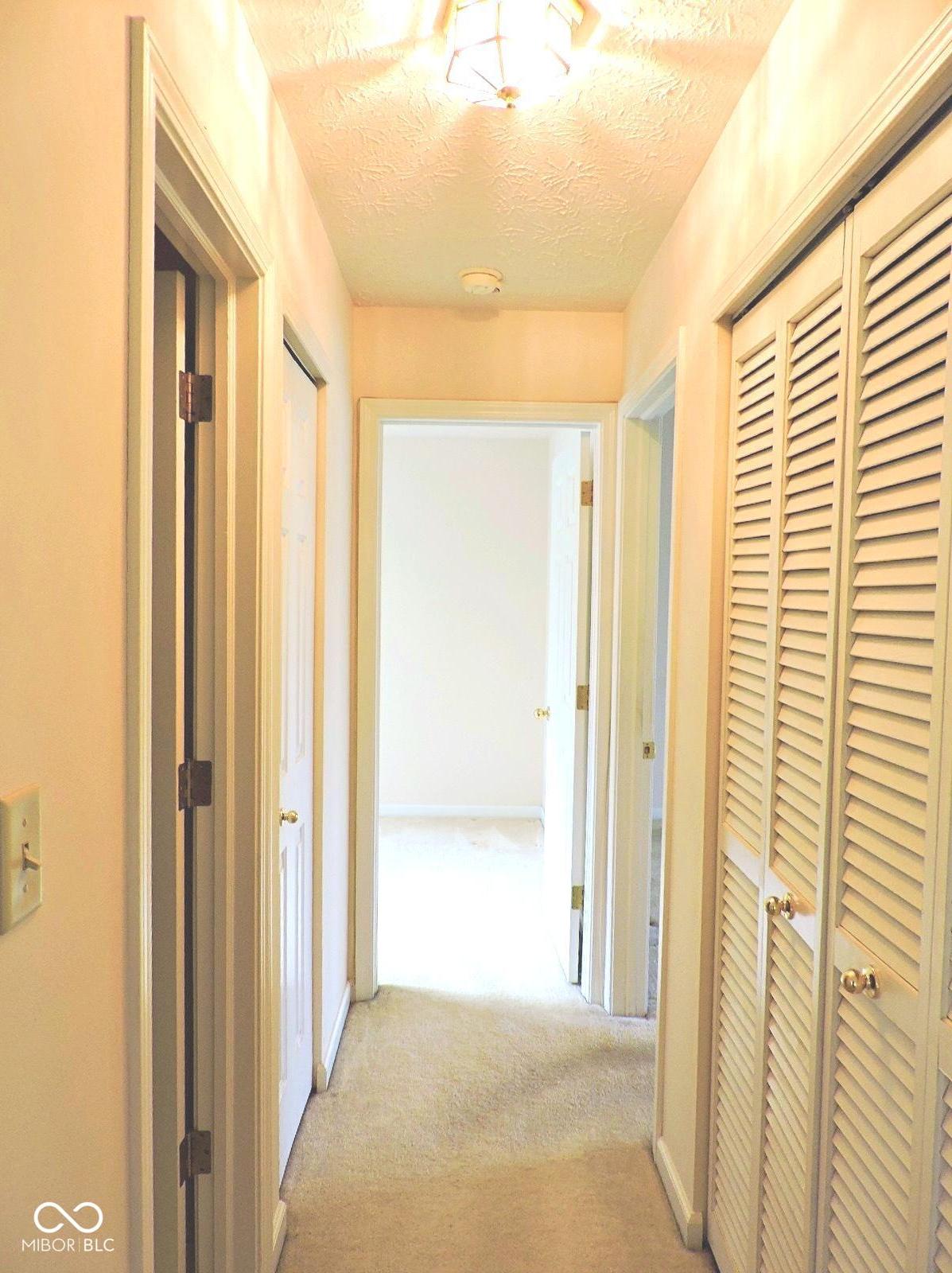 Photo #24
