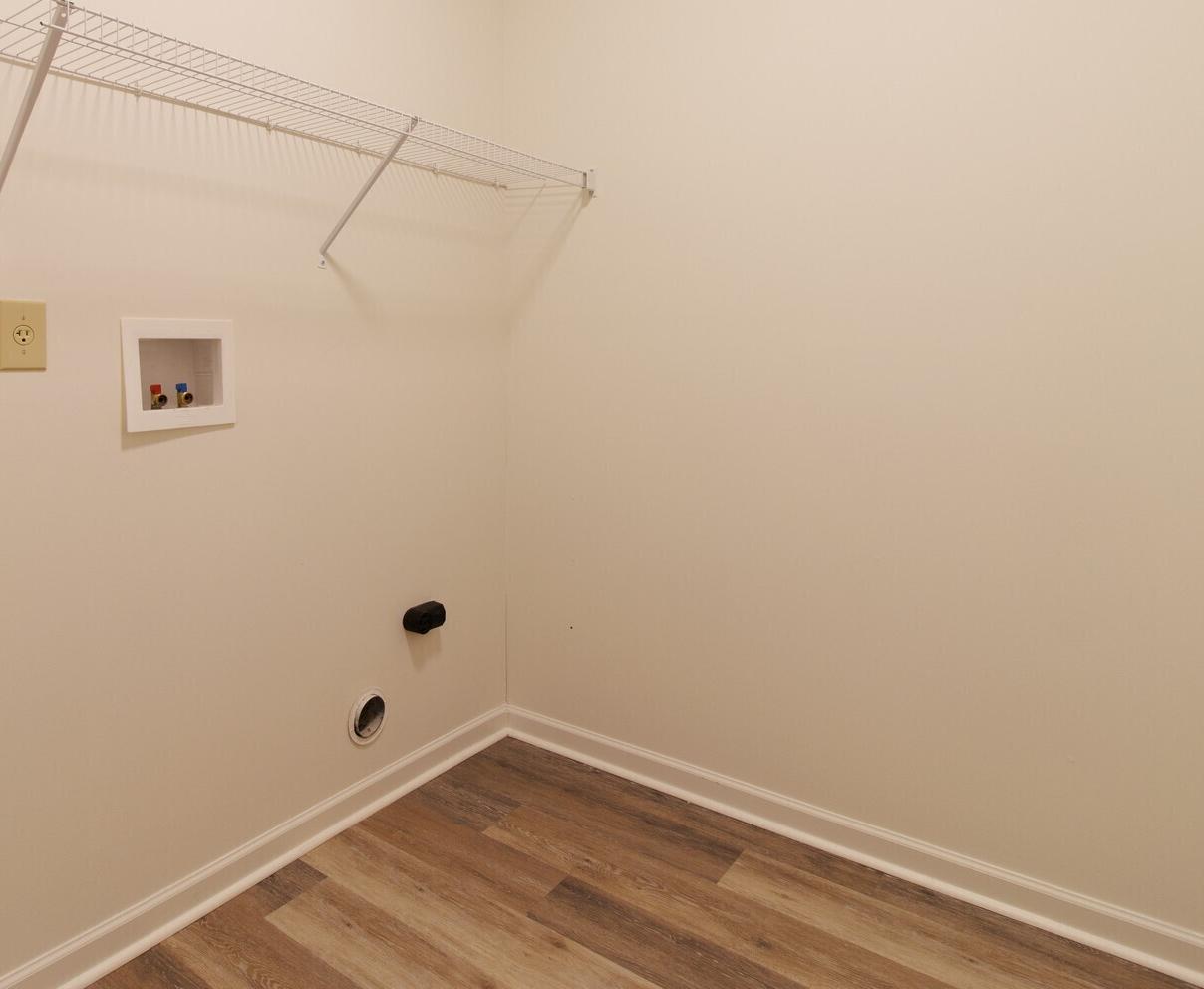 Photo #12
