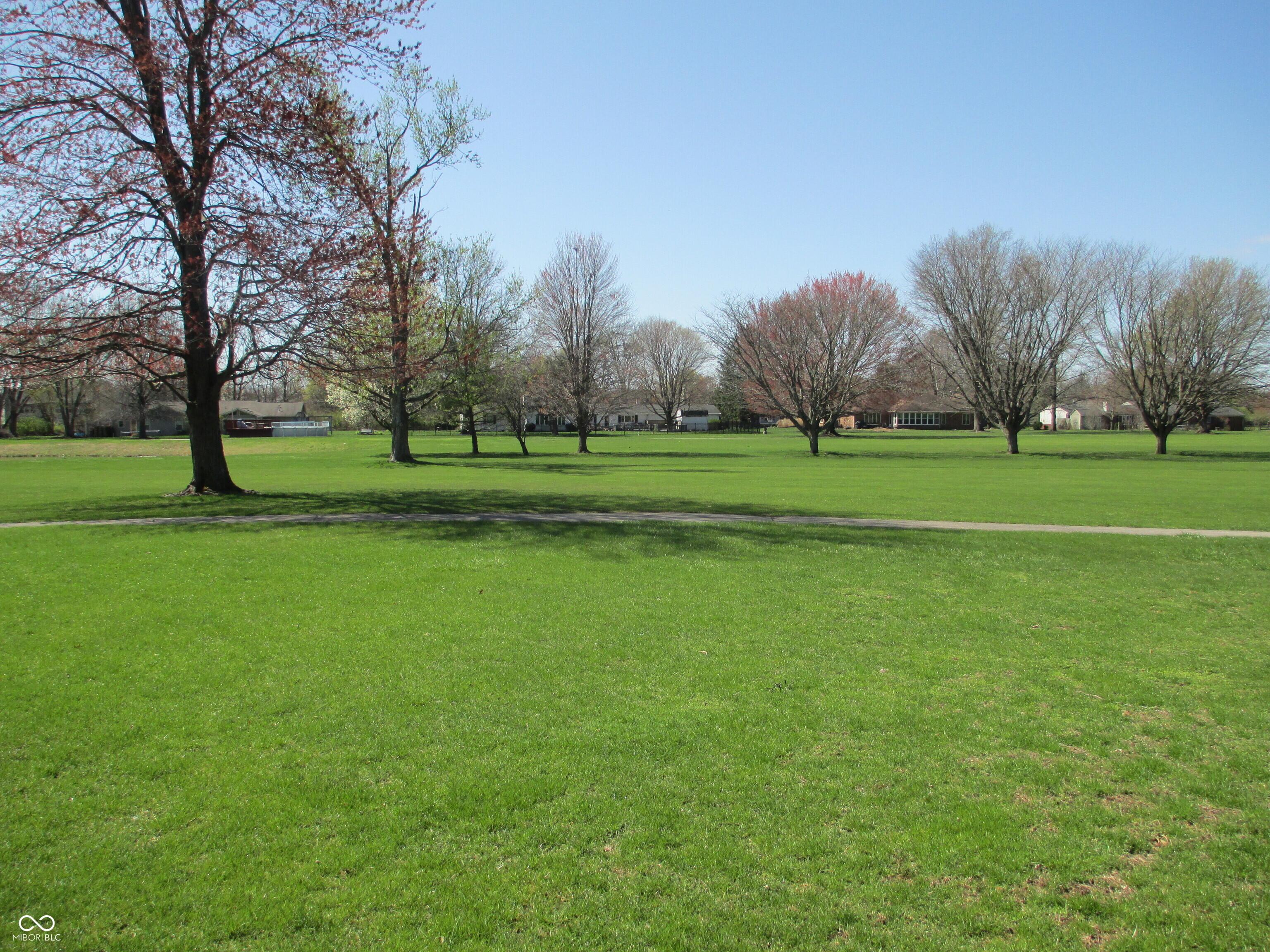 Photo #36