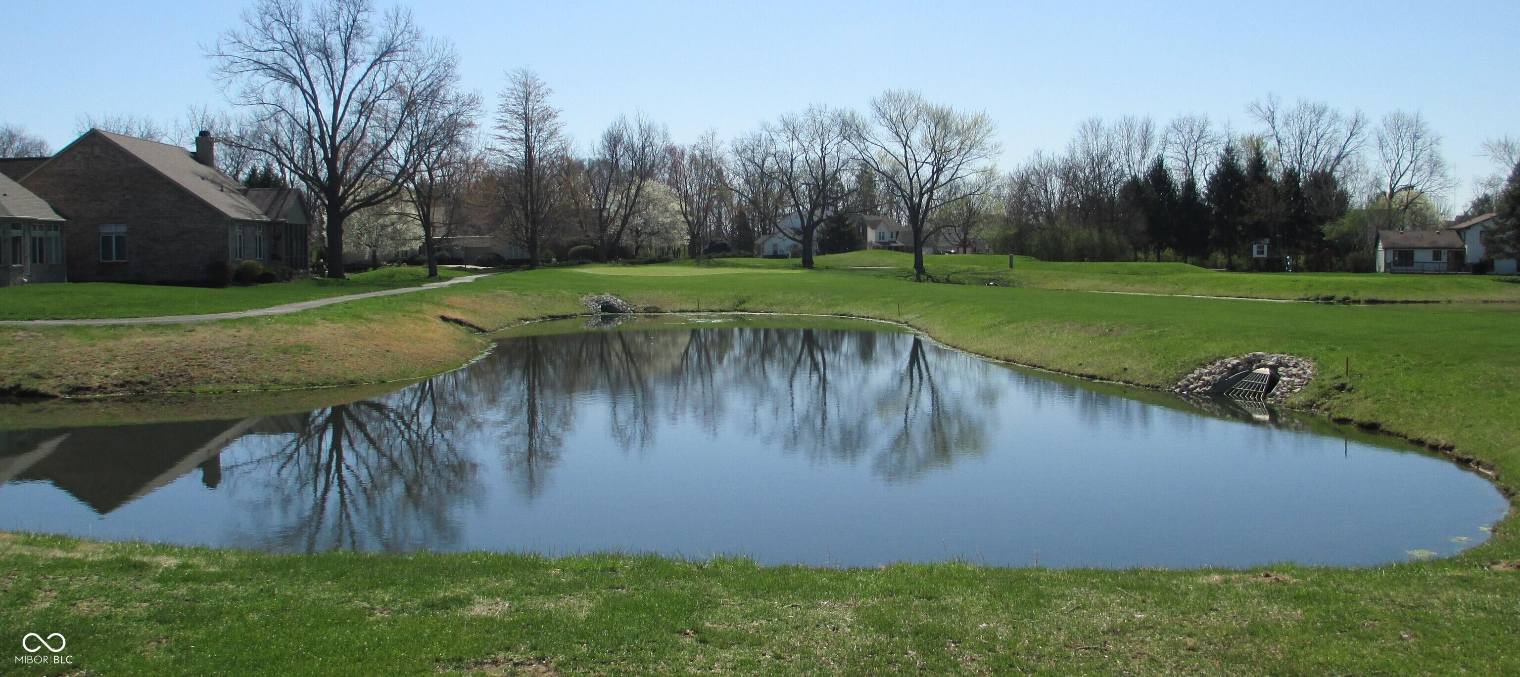 Photo #35