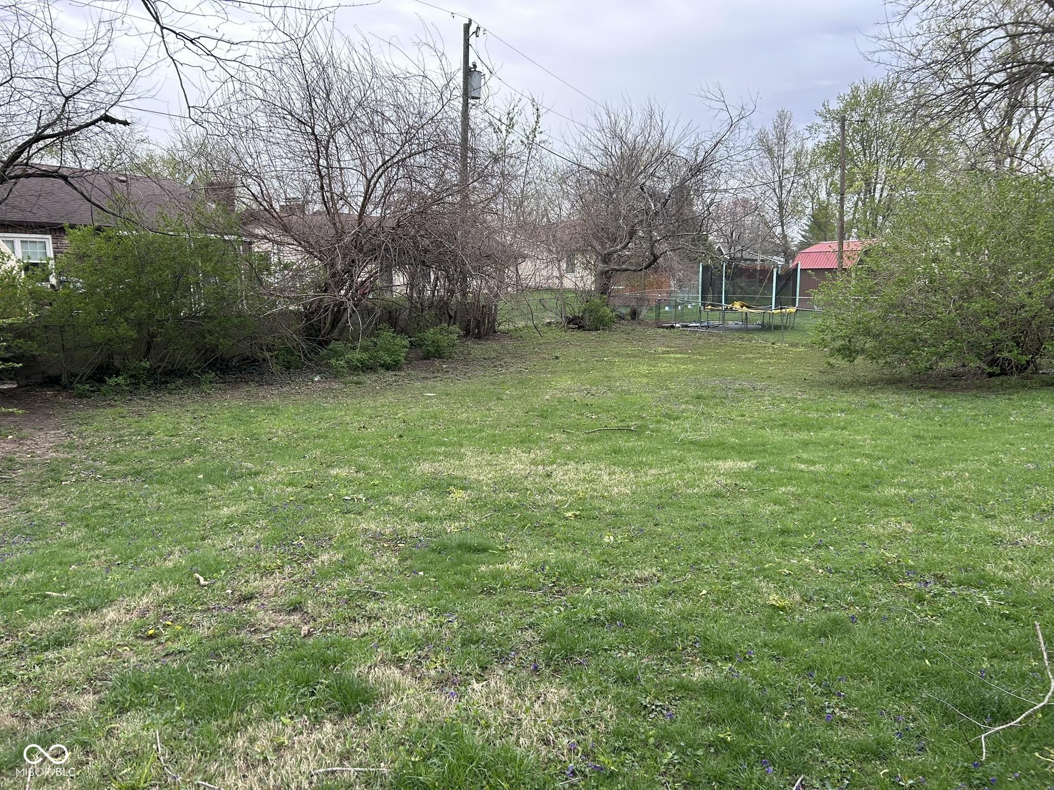 Photo #49
