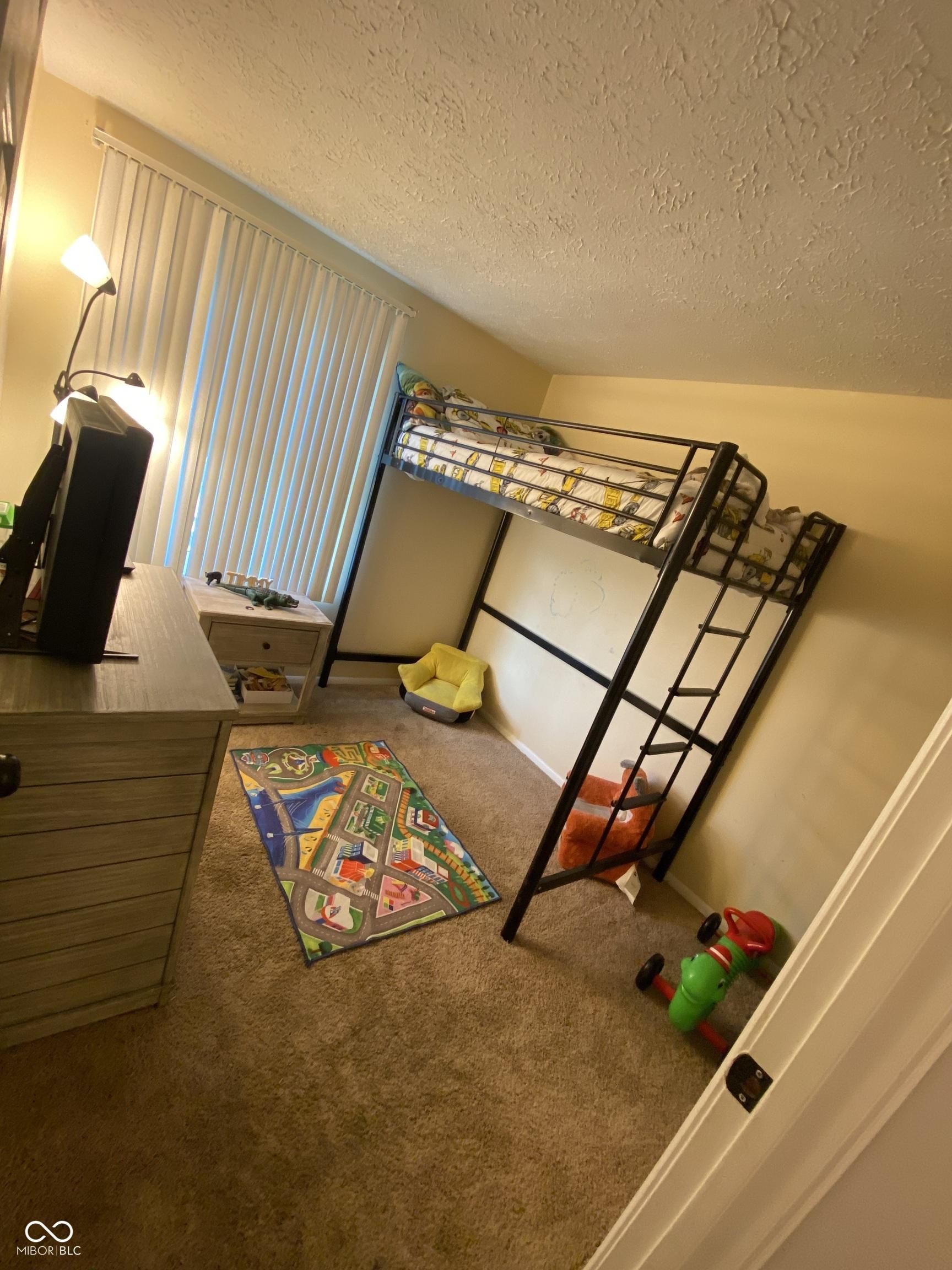 Photo #12
