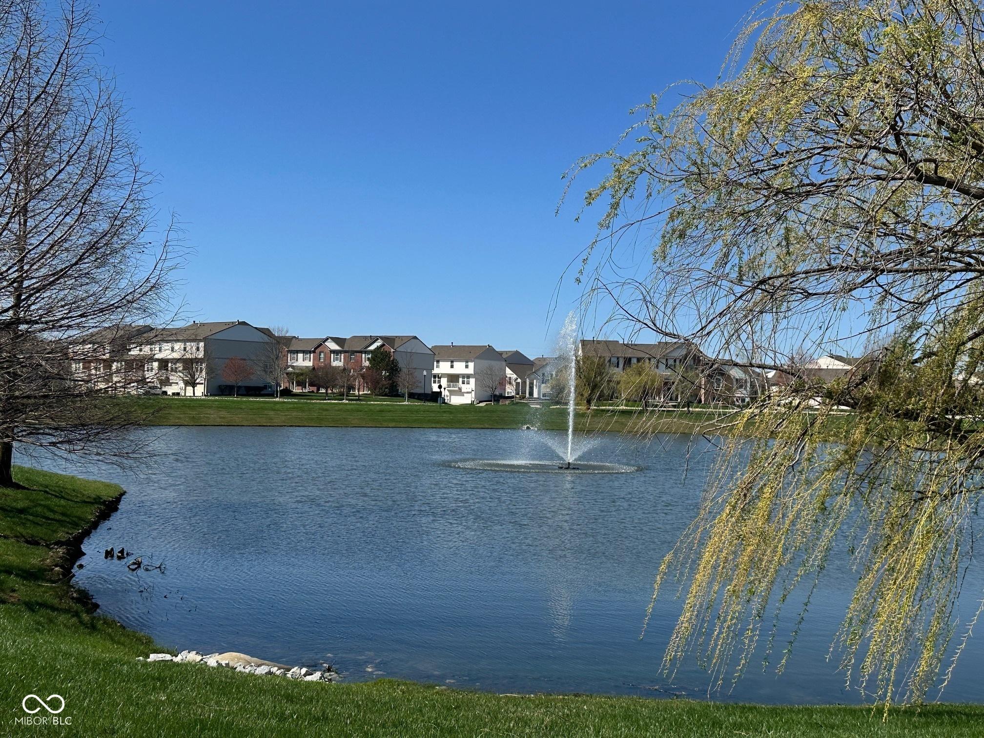 Photo #36