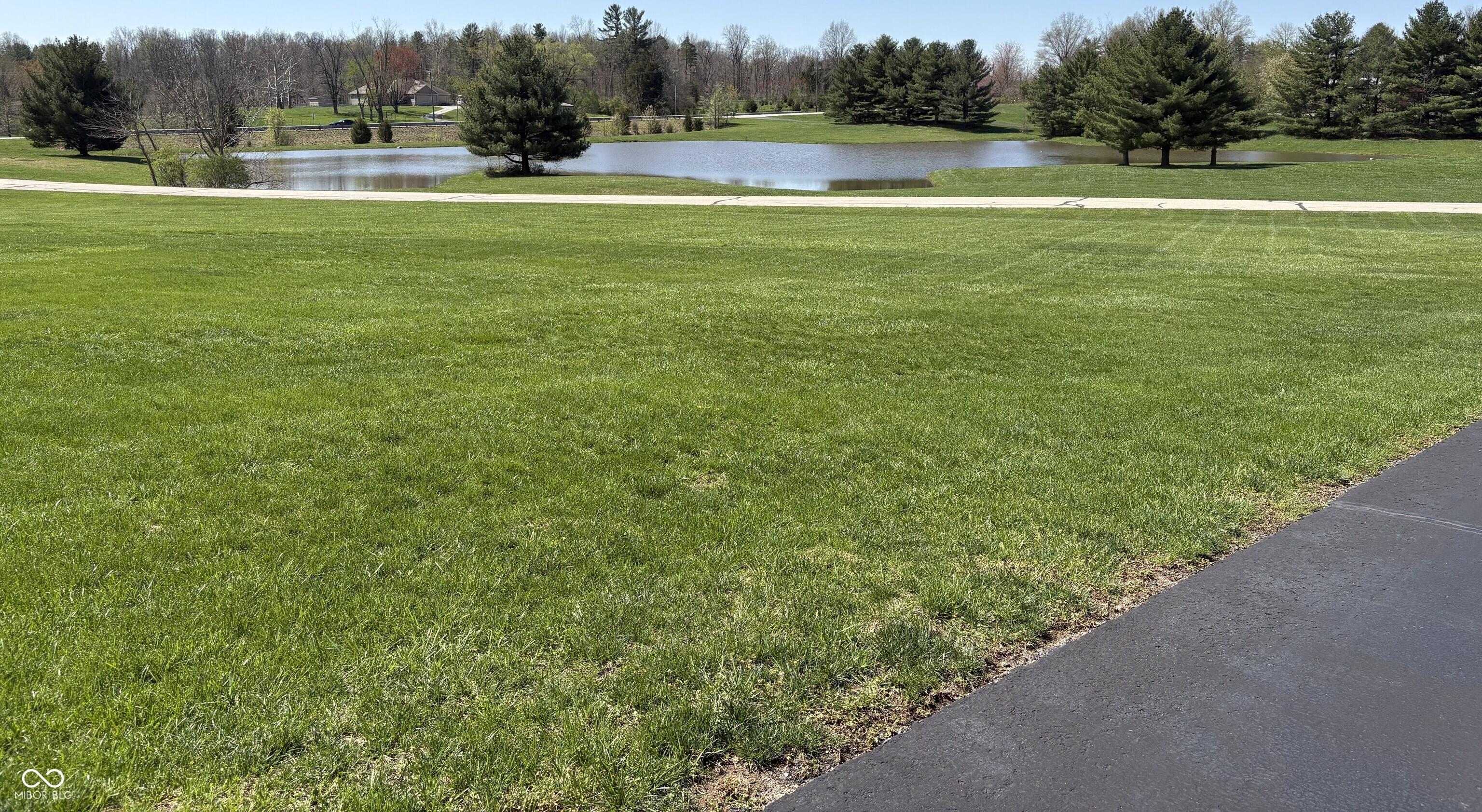 Photo #66