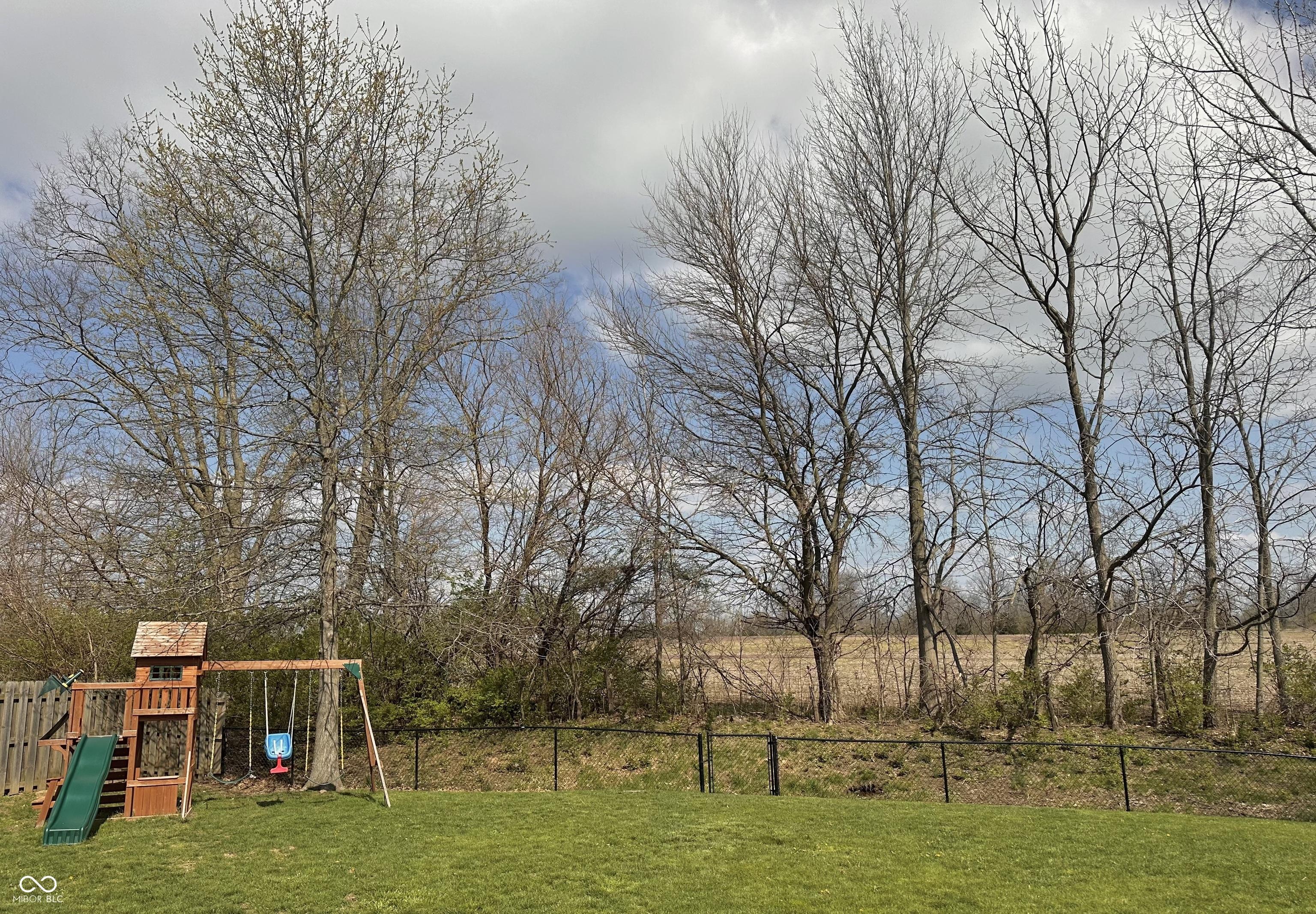 Photo #31